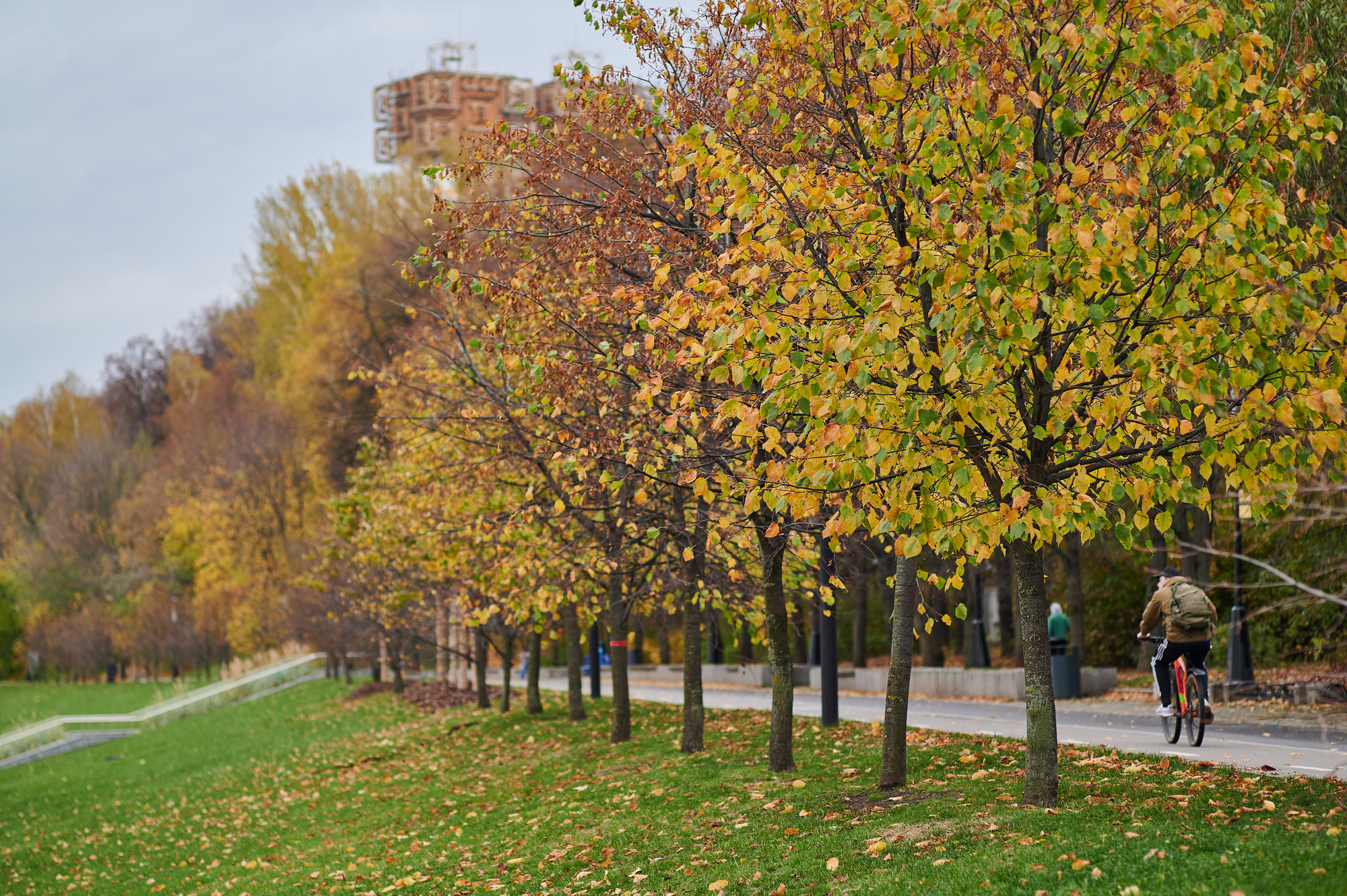 Walk along the embankment - My, The photo, Nikon, Autumn, Embankment, Sparrow Hills, Longpost, Moscow