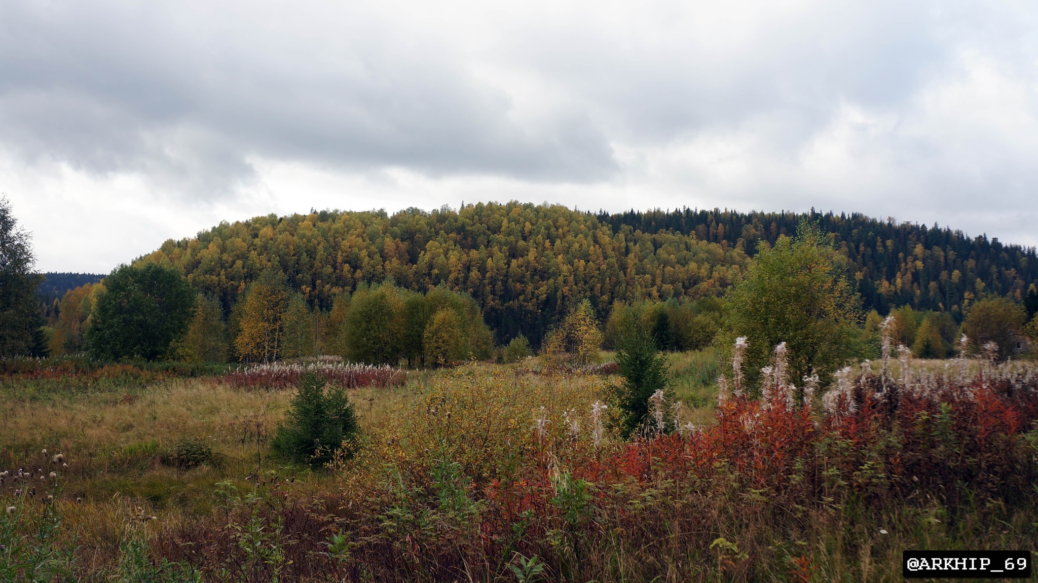 Oslyanka. Hiking solo in the Middle Urals. Part 2 - My, Ural, Hike, Oslyanka, Middle Ural, The Bears, Hiking, Longpost