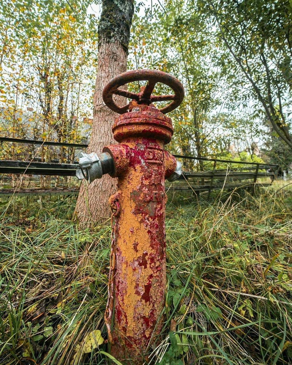 Abandoned military unit in Gorodkovo (Kaliningrad region) - Kaliningrad, Kaliningrad region, Story, The photo, Military unit, Longpost