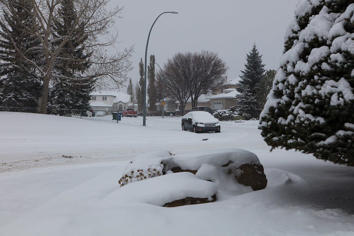 Cool autumn - My, Canada, Autumn, Calgary, Snow