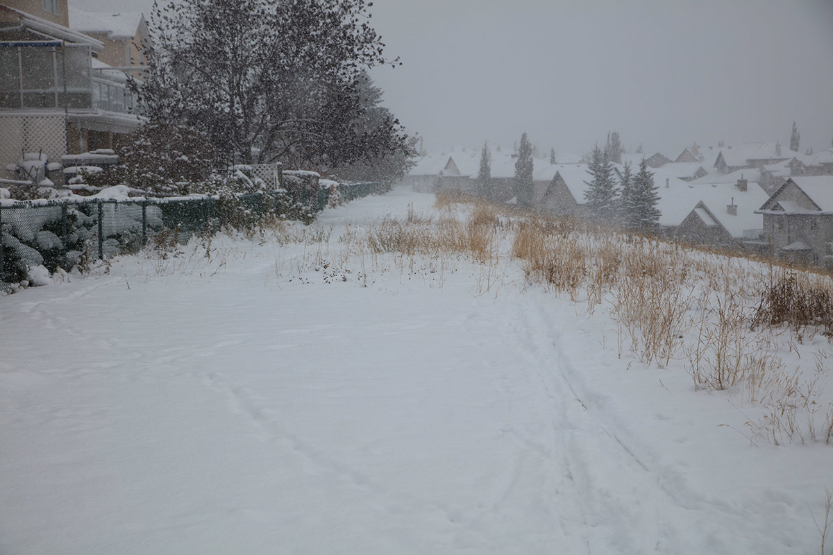 Cool autumn - My, Canada, Autumn, Calgary, Snow