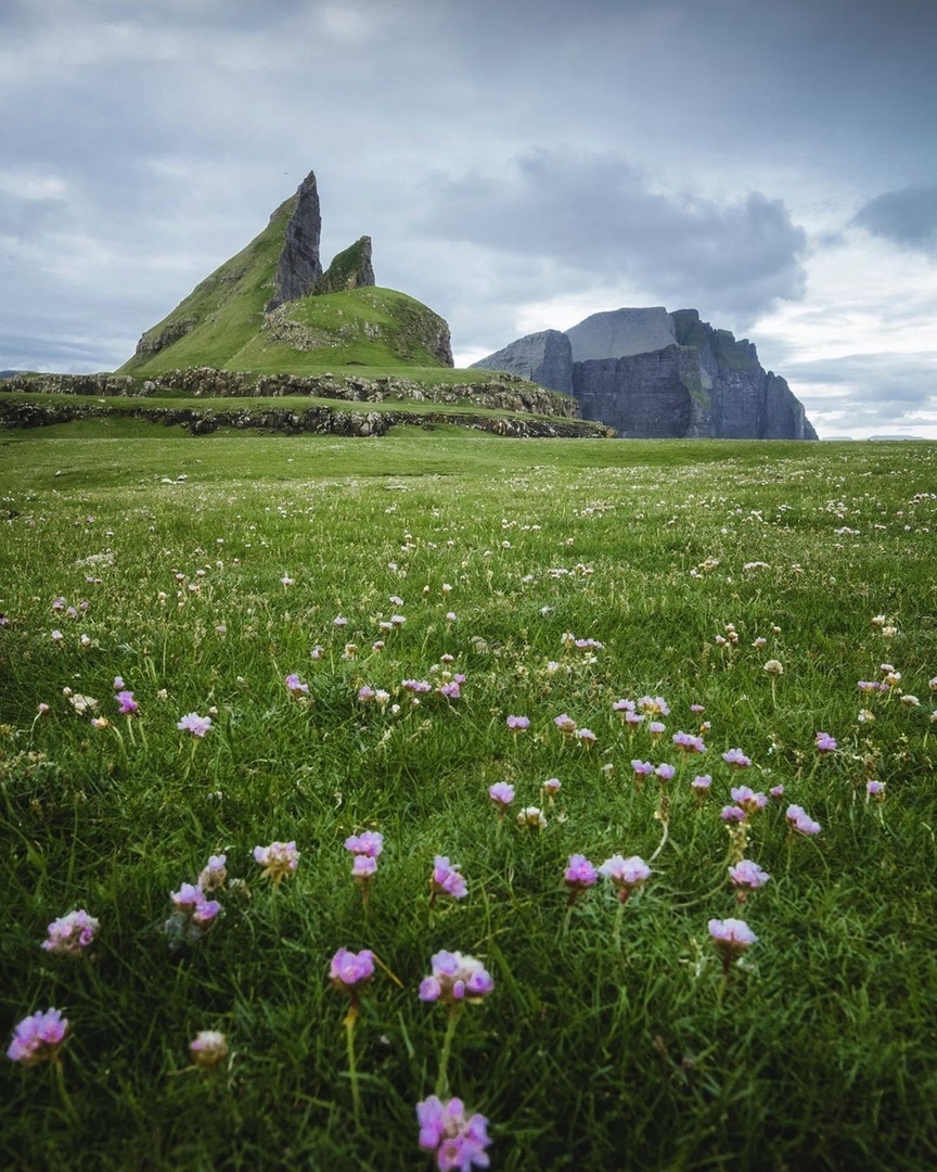 The beauty of the Faroe Islands - Faroe islands, Seasons, Nature, Snow, Grass, Goat, beauty of nature, The photo, Longpost