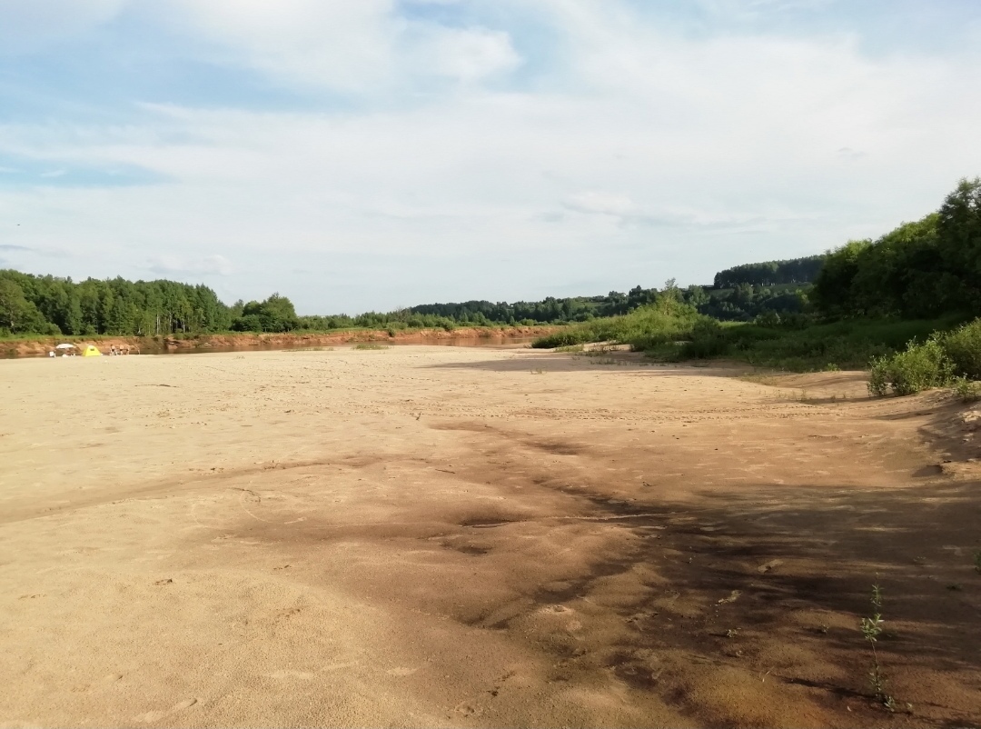 Nature of the village (Vetluzhsky, Nizhny Novgorod region) - My, The nature of Russia, Nizhny Novgorod, Nature comes to life, Nature, Longpost