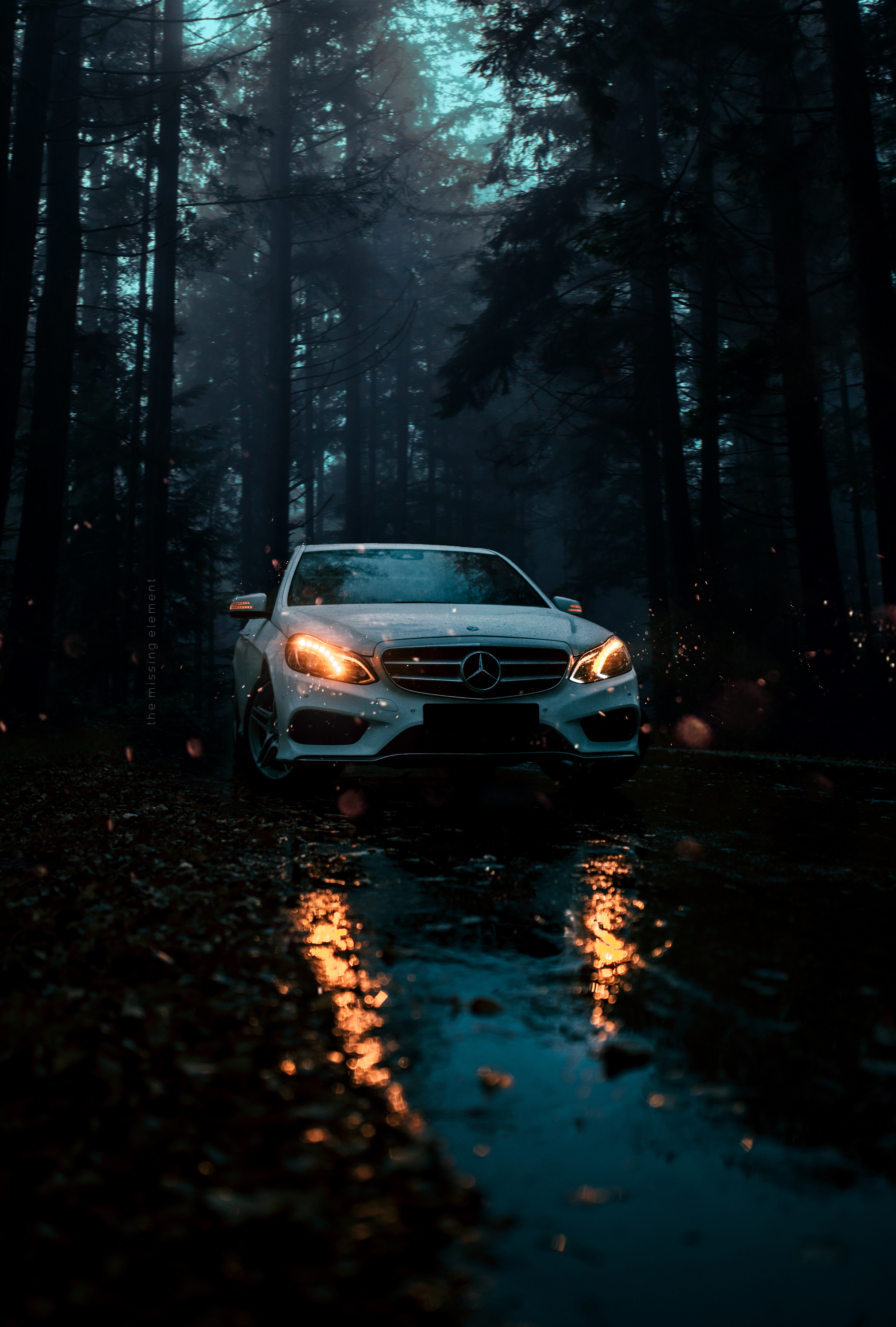 Flame inside - My, Mercedes, Auto, Motorists, The photo, Forest, Autumn