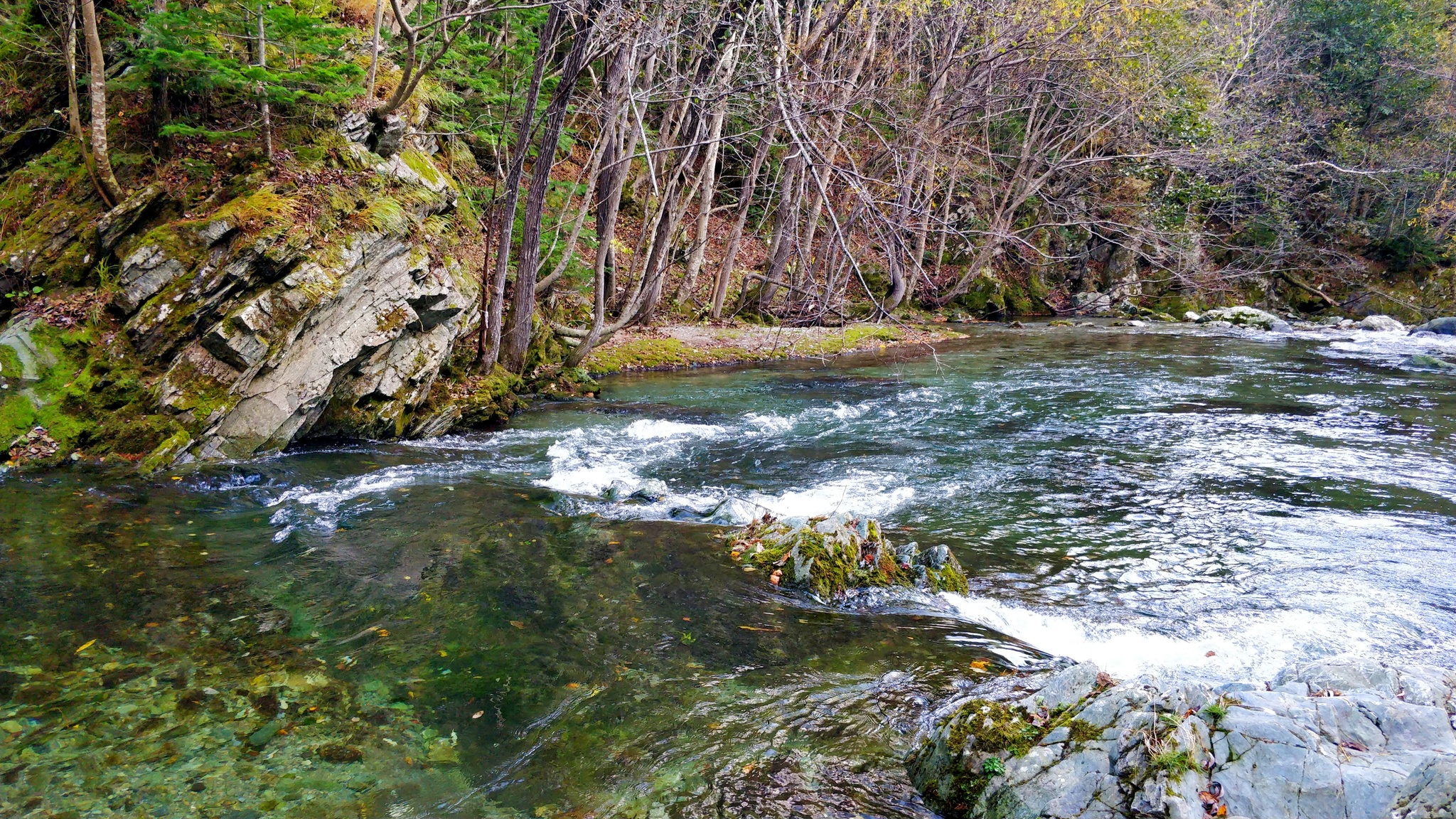 We catch char with a rubber worm on Sakhalin. Spawning river full of salmon eggs - My, Loach, Fishing, Sima, Sakhalin, Sakhalin Region, Pink salmon, Coho salmon, Video, Longpost