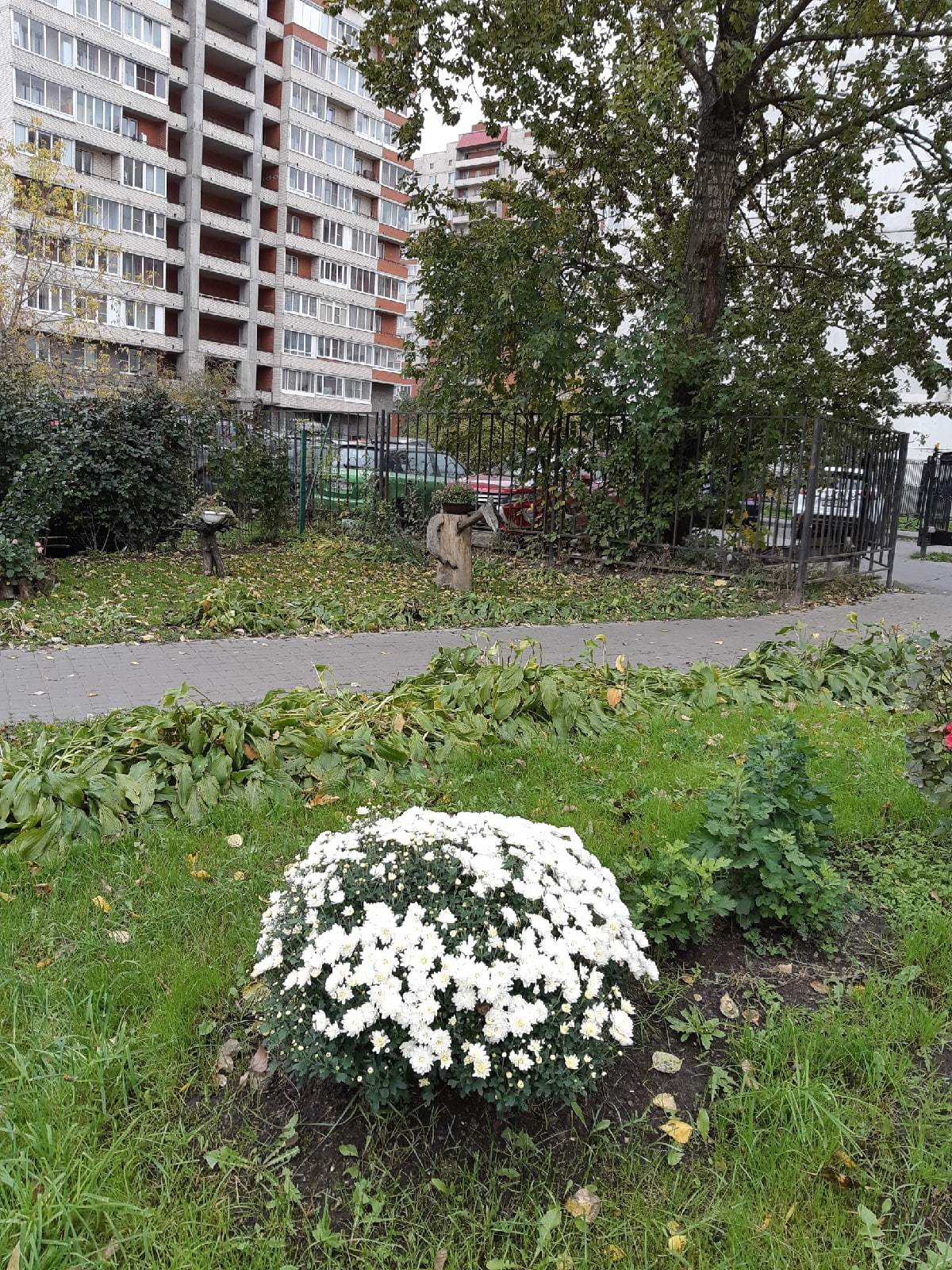 Just figures in front of a parking lot - My, The photo, Saint Petersburg, Garden figures, Figurines, Folk art, Longpost