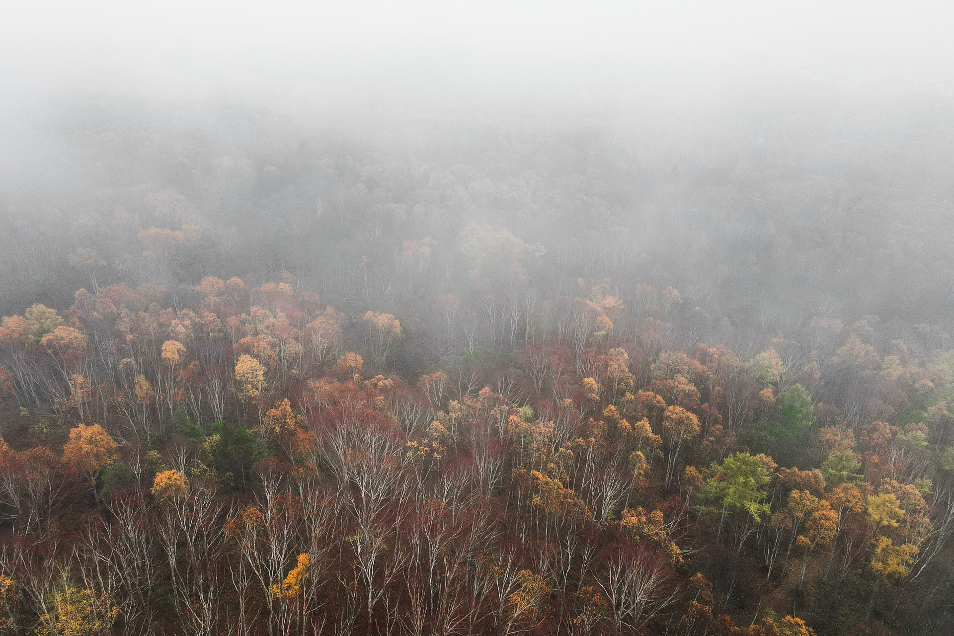 I love fog! - My, Yuzhno-Sakhalinsk, Mountain air, Town, Drone, Nature, Forest, Fog, Beams, The sun, Morning, Atmosphere, Contemplation, Landscape, Autumn, Longpost