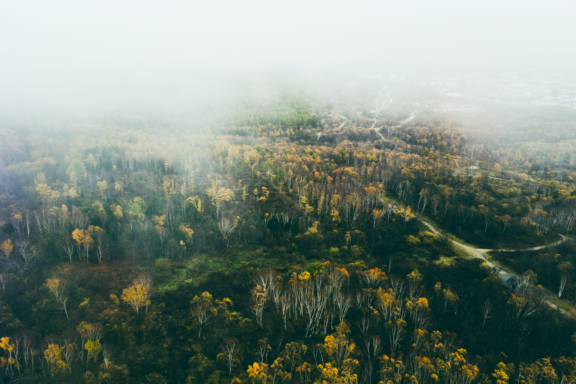 I love fog! - My, Yuzhno-Sakhalinsk, Mountain air, Town, Drone, Nature, Forest, Fog, Beams, The sun, Morning, Atmosphere, Contemplation, Landscape, Autumn, Longpost