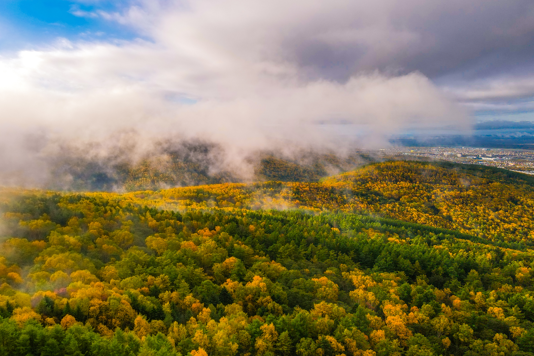 I love fog! - My, Yuzhno-Sakhalinsk, Mountain air, Town, Drone, Nature, Forest, Fog, Beams, The sun, Morning, Atmosphere, Contemplation, Landscape, Autumn, Longpost