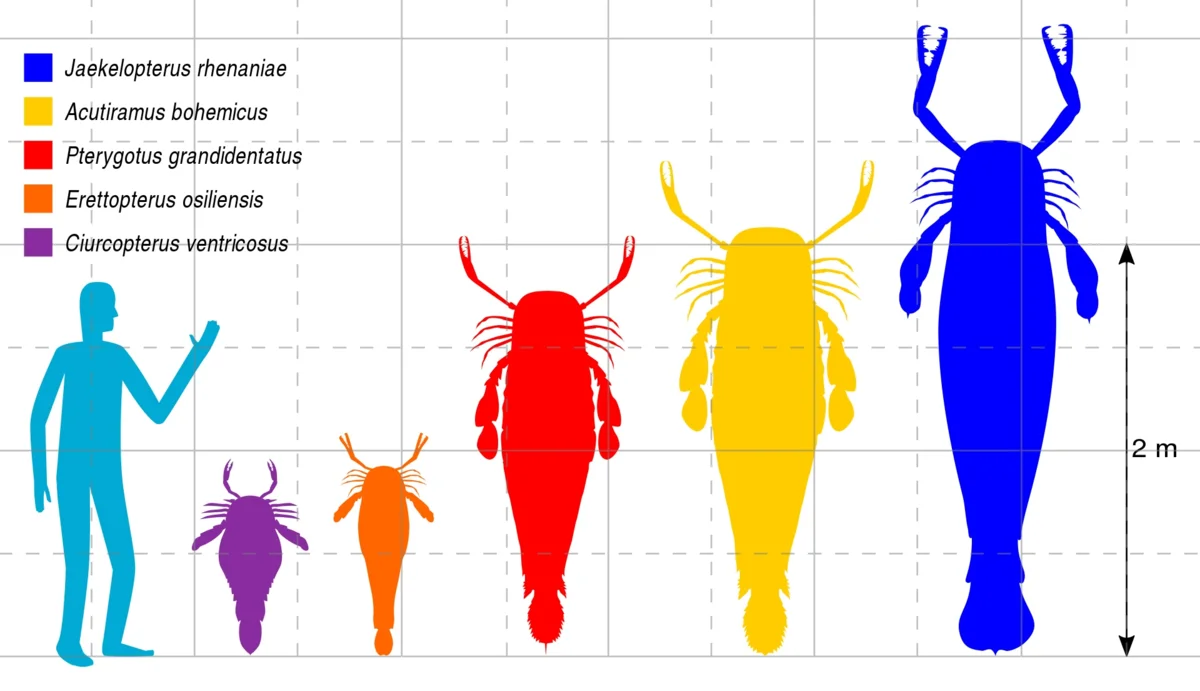 Cancerscorpio: 100 million years of bloody tyranny of the most successful predator in Earth's history - Prehistoric animals, Crustoscorpion, Animals, Yandex Zen, Longpost, Paleontology