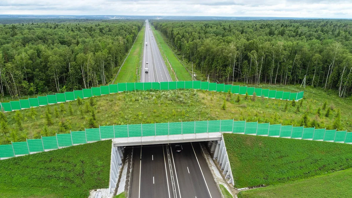 Ecoduc: Unique technology to prevent cars from hitting animals - Nature, Road, Animals, Longpost, Yandex Zen