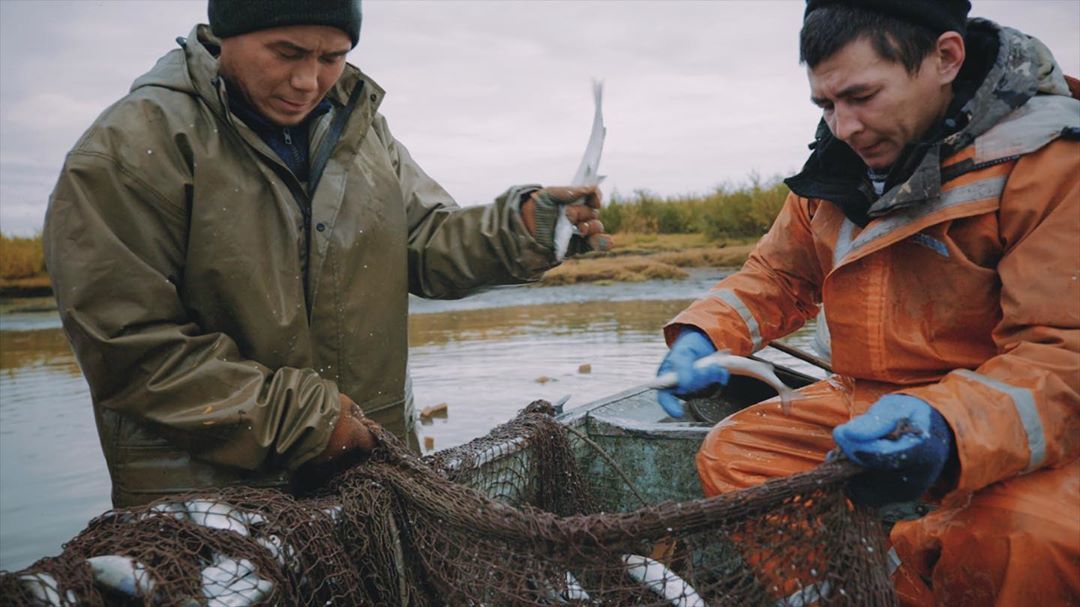 Documentary film by Alexander Fedorov about global warming “How to save the world: Kolyma and permafrost” - Yakutia, The national geographic, Discovery, Around the world, Geo, Kolyma, Global warming, Video, Longpost