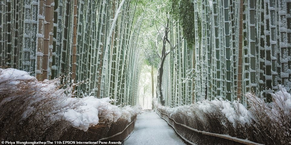 2020 Epson International Pano Awards Finalists - The photo, Nature, Панорама, Longpost