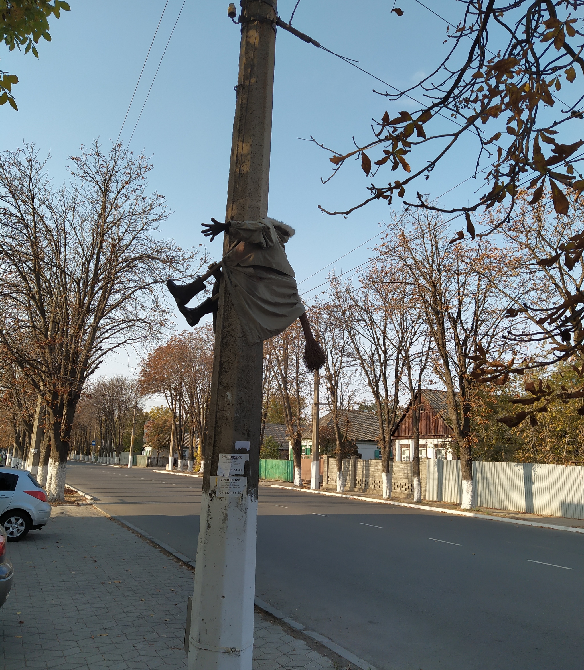 Ведьма врезалась в столб картинка