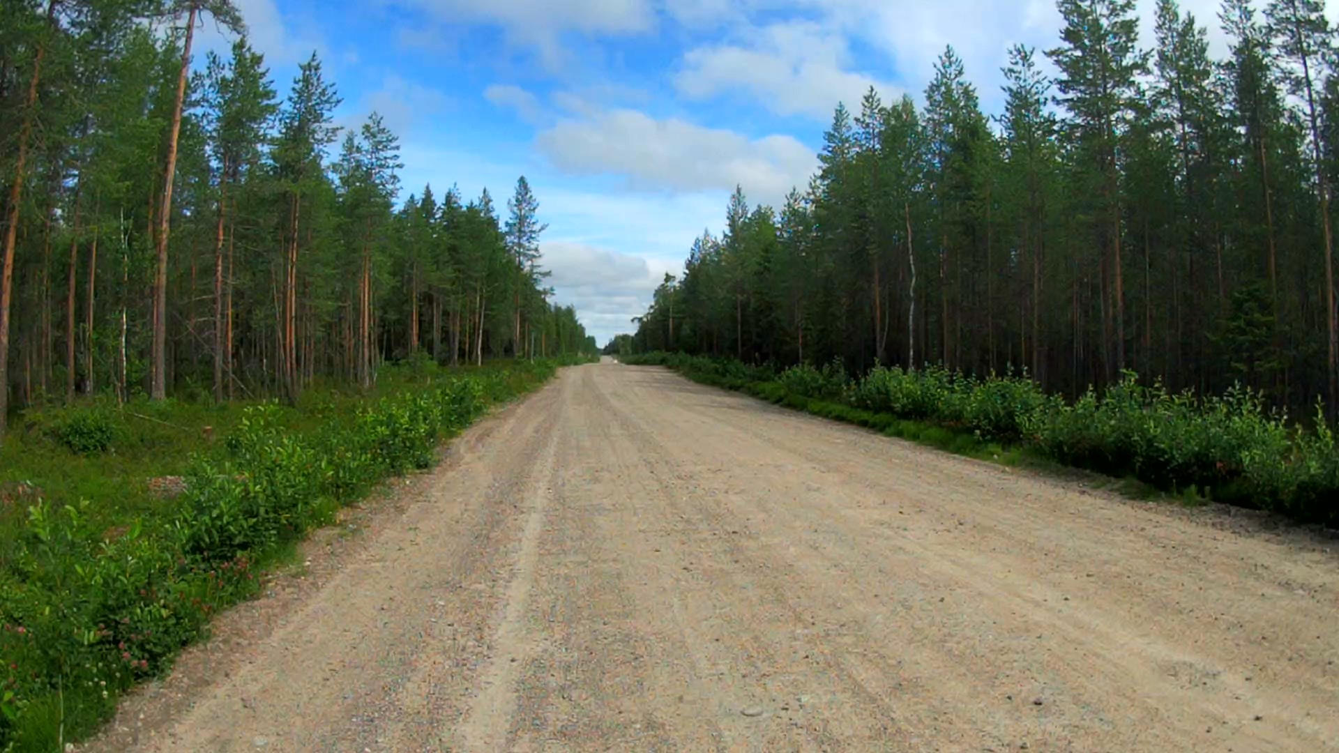 Одиночный пеший поход / Карелия: Летнереченский - Беломорск - Моё, Пешком, Трекинг, Хобби, Путешествия, Поход, Карелия, Беломорск, Длиннопост, Видео, Пятничный тег моё