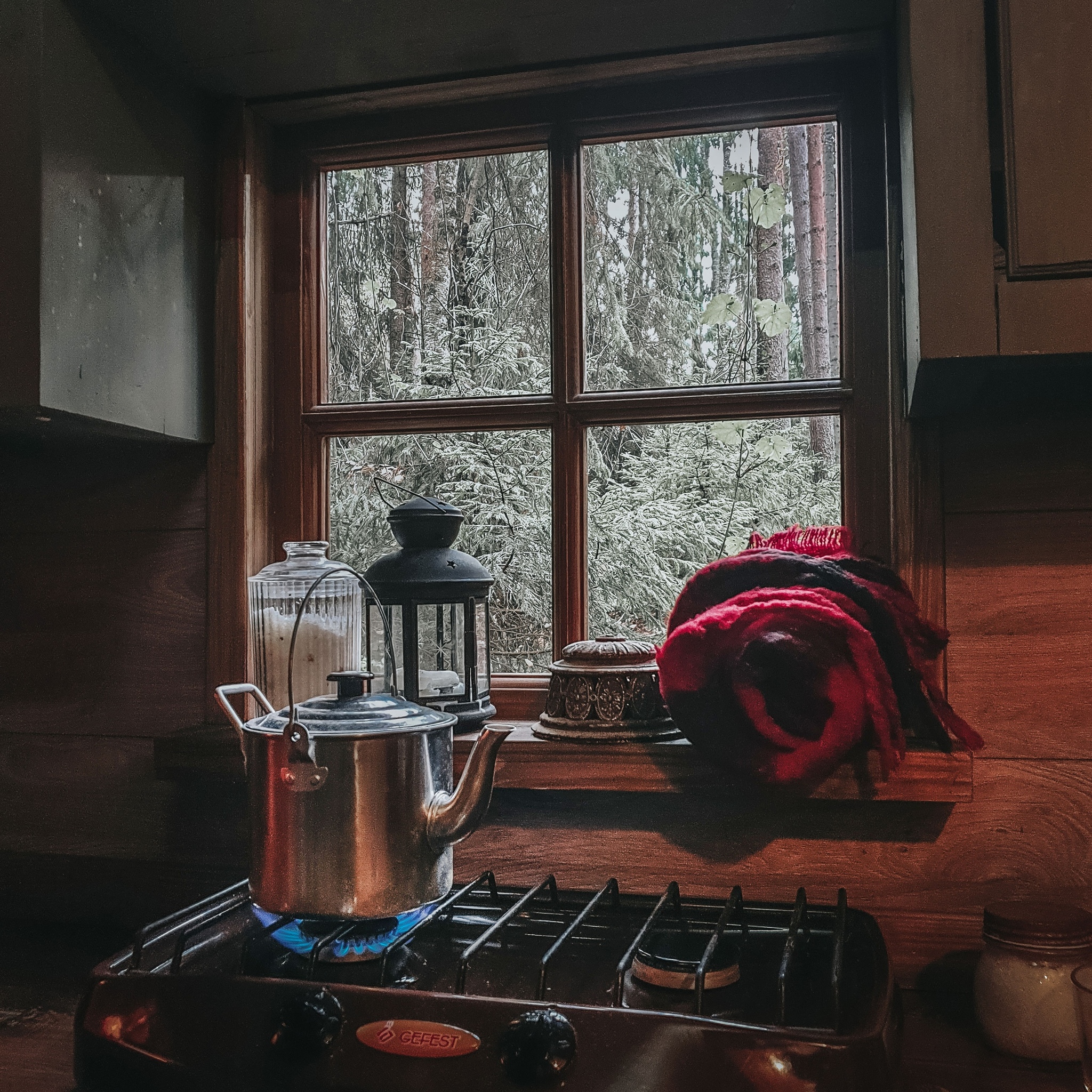 Shed in a woods - My, Saint Petersburg, Hut, Cosiness, The nature of Russia, Longpost, The photo