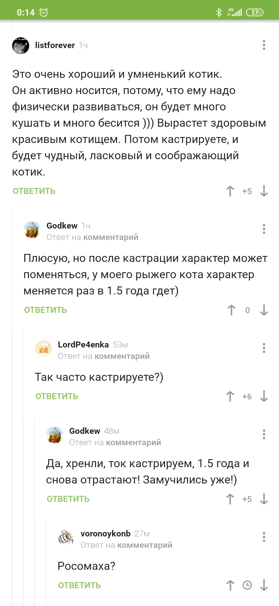 Росомаха? - Кот, Скриншот, Кастрация, Длиннопост, Комментарии на Пикабу