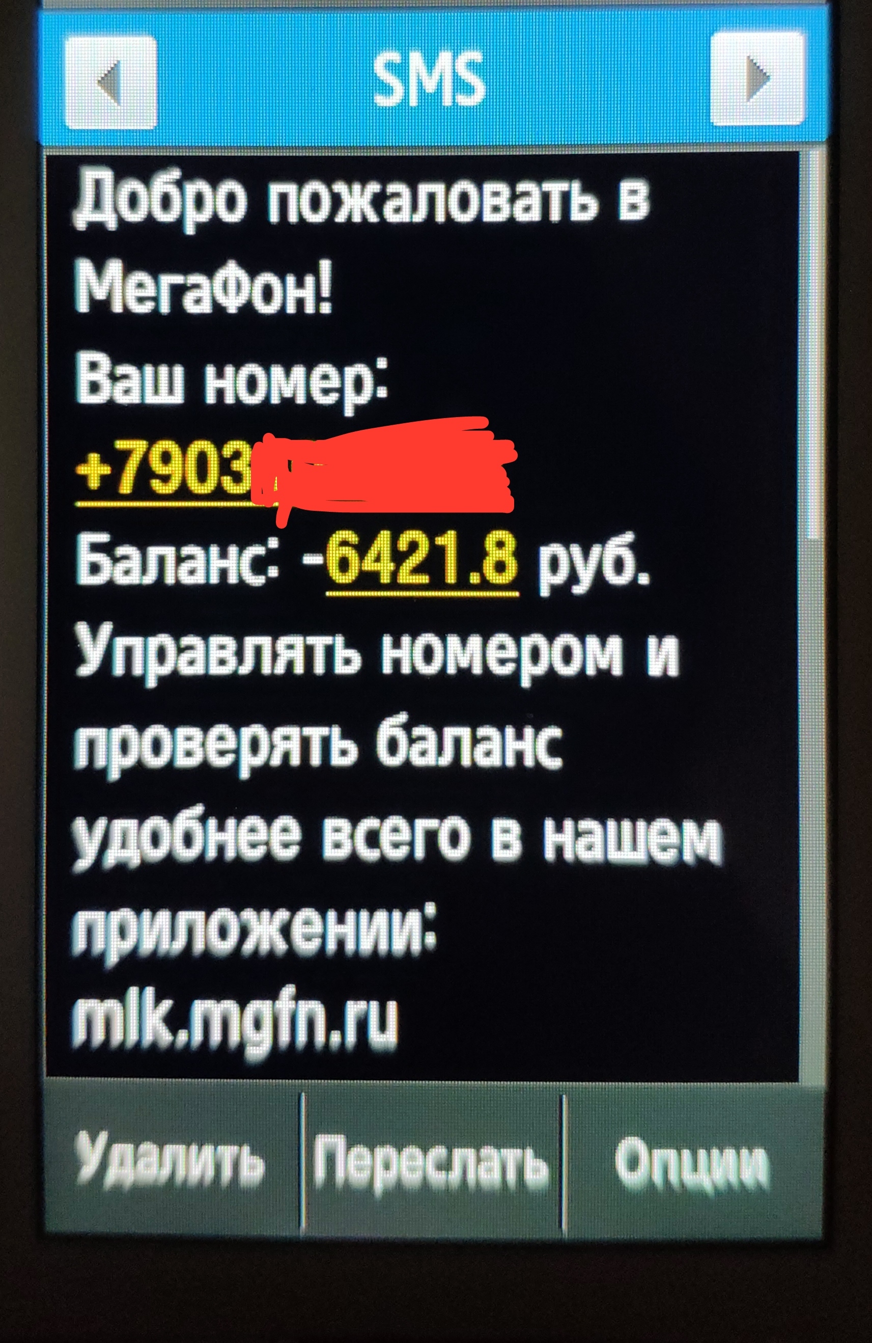 Прошу помощи - Моё, Мегафон, Билайн, Длиннопост, Первый пост, Негатив, Сотовые операторы