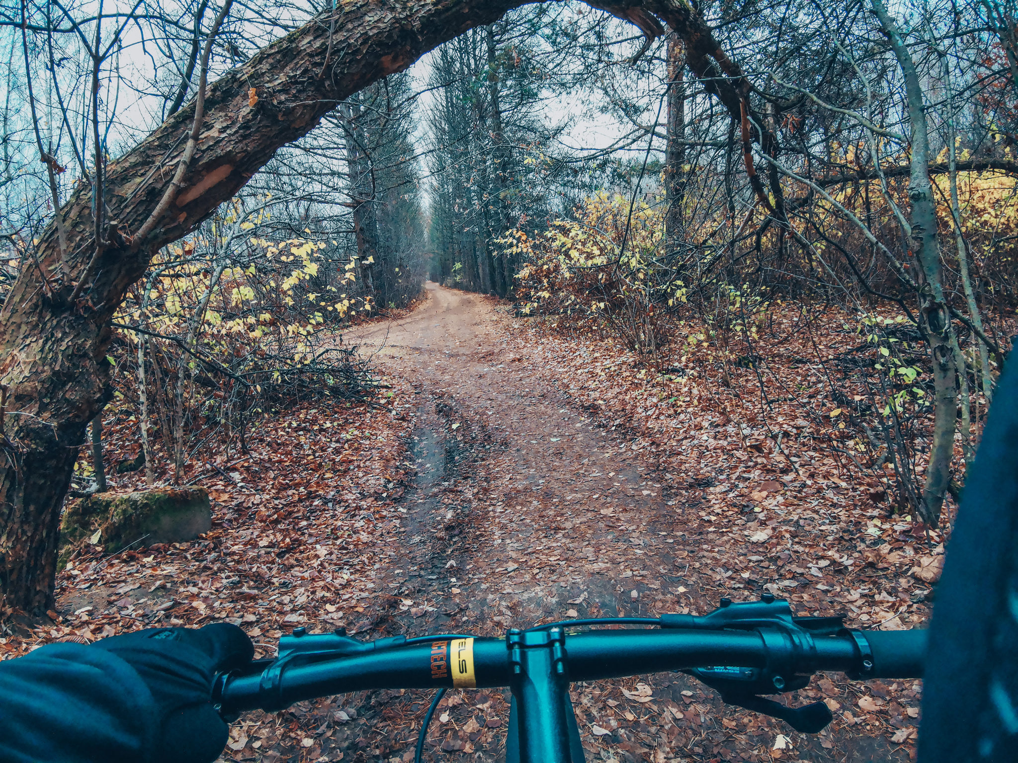 Morning, Sunday - My, Mobile photography, A bike, Autumn, Longpost