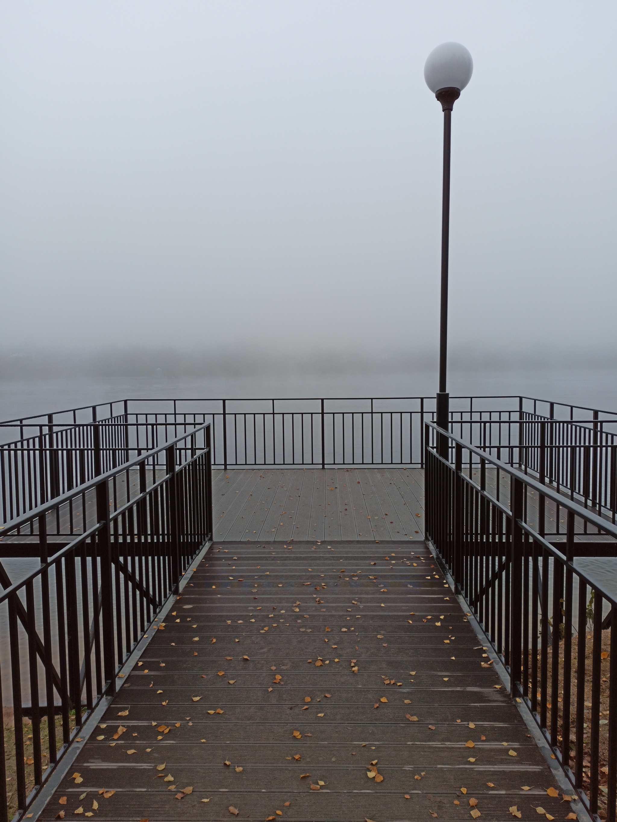 Peering into the fog - My, The photo, Fog