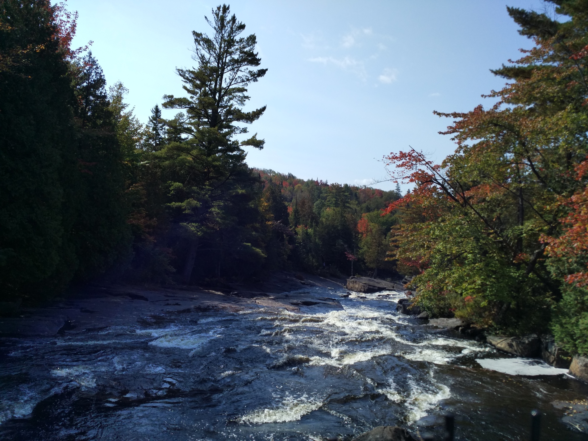 September nature in Quebec - My, Canada, The photo, Nature, Quebec, Longpost, River, beauty of nature