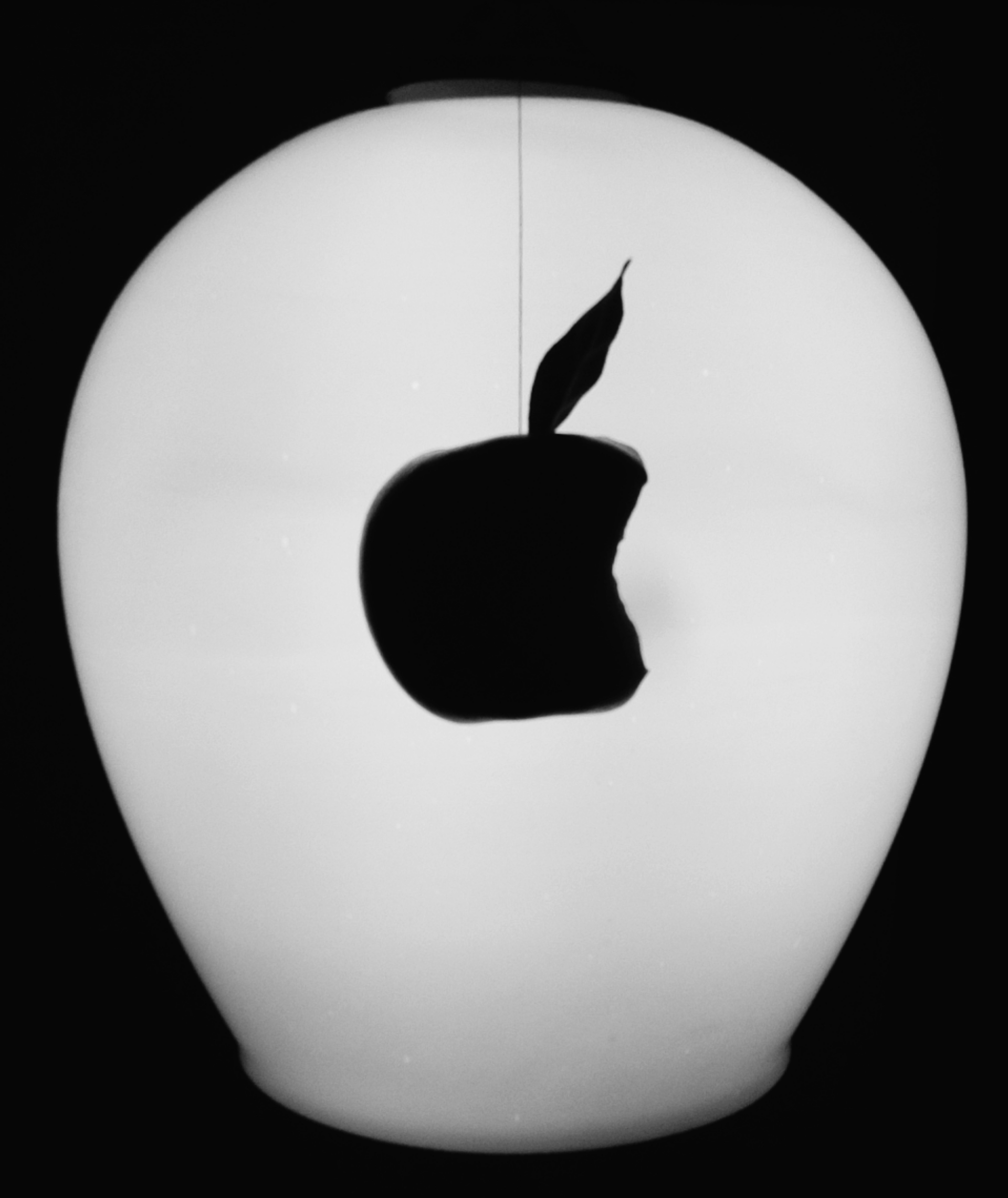 I-Plafond - My, The photo, Plafond, Apples, iPhone, Лампа