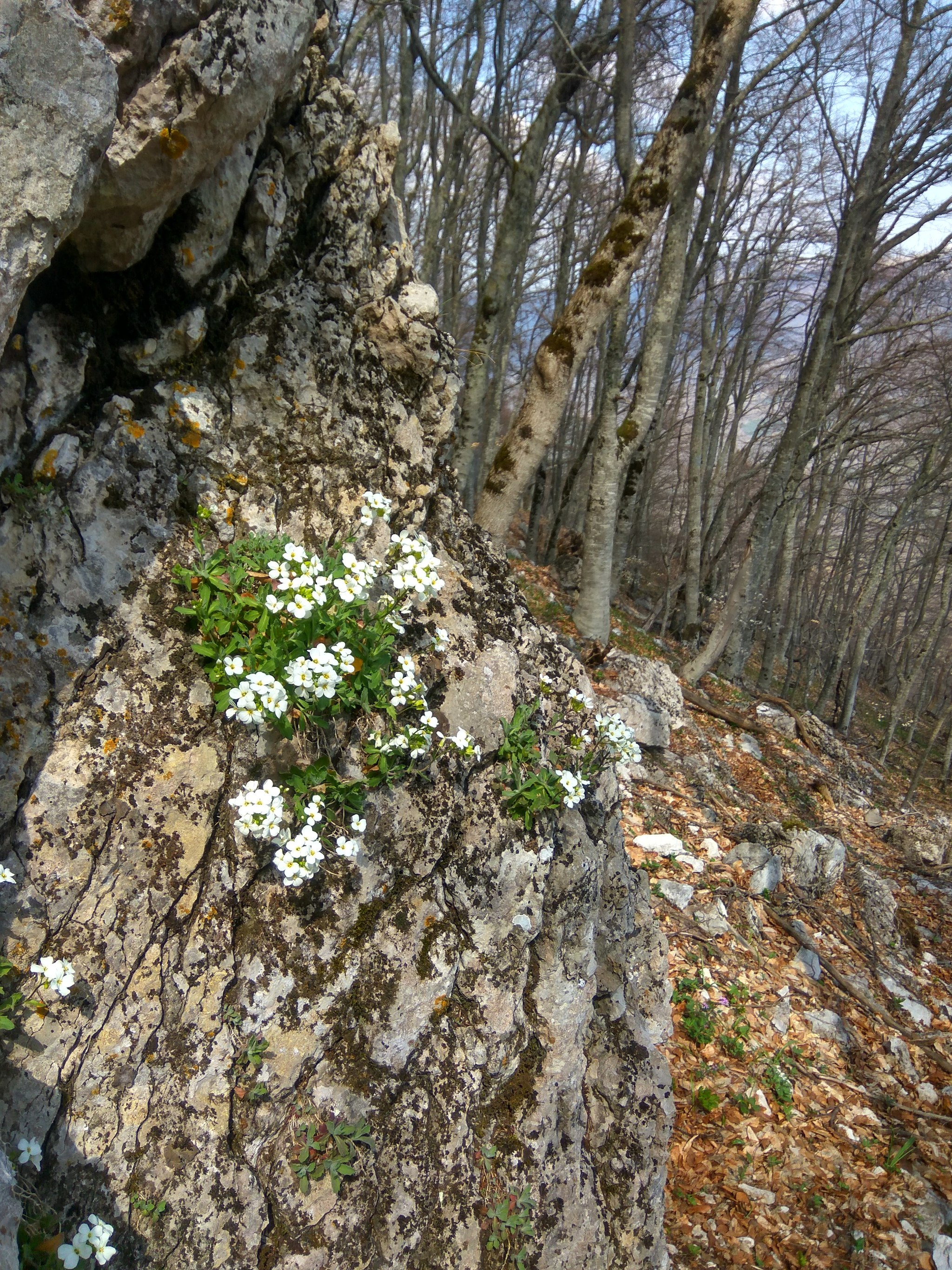 Crimea 2019. Day 3 part 2 “They teach a fool” - My, Crimea, Cold, Chatyr-Dag, Hike, Mat, Longpost