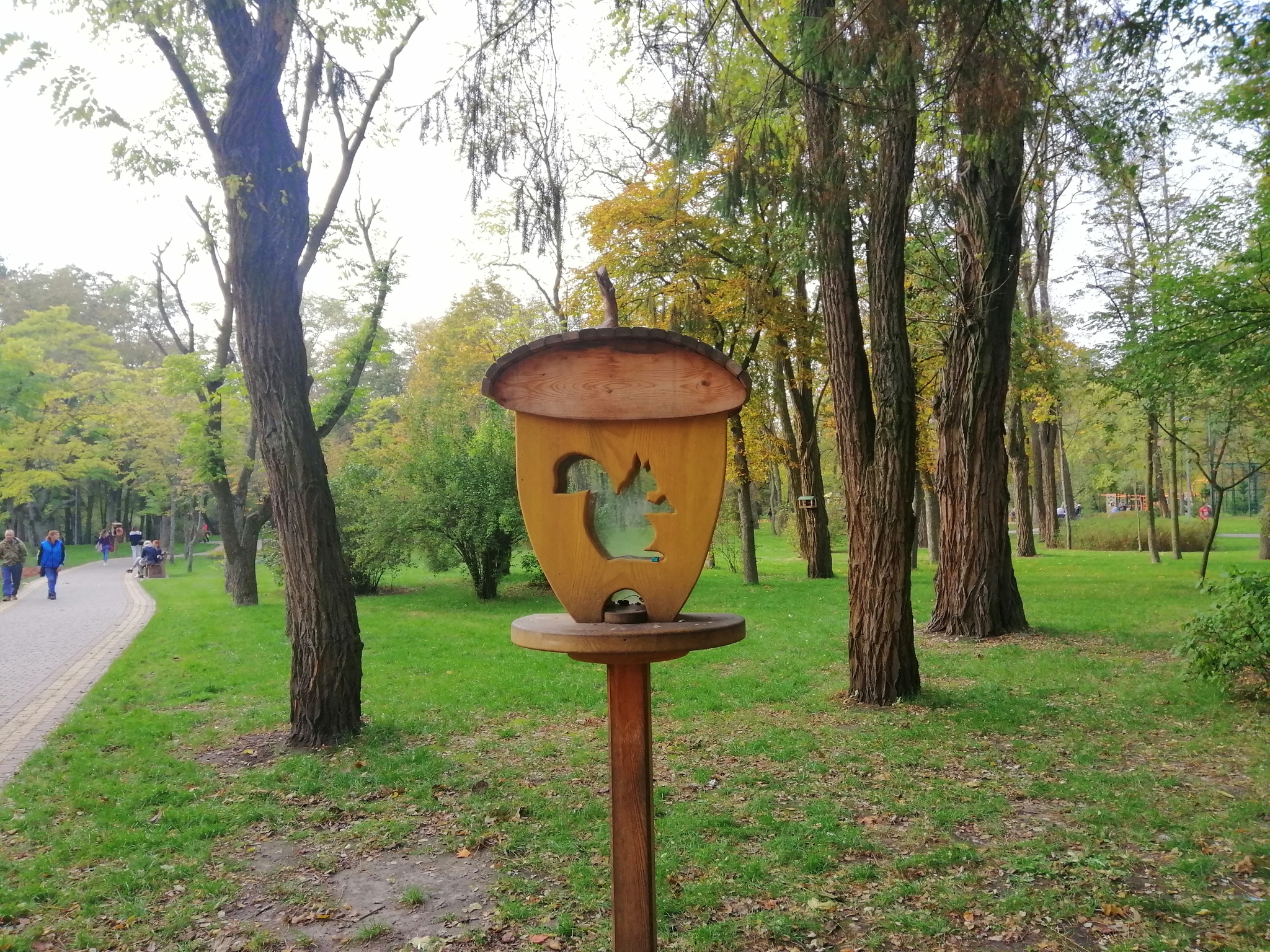 How we walked through fly agarics - My, Kiev, Mushrooms, Fly agaric, Pushcha voditsa, Silent hunt, Longpost