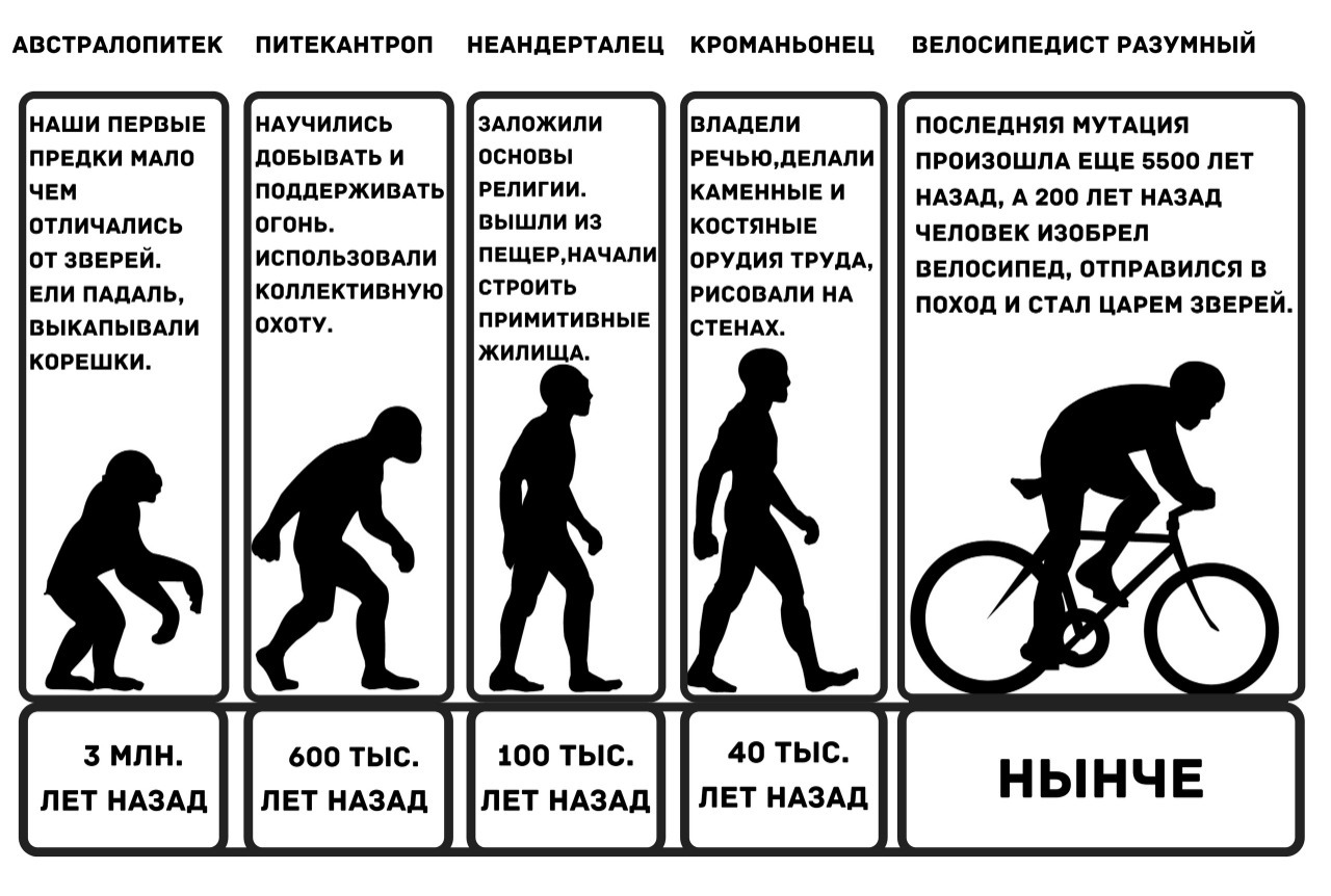 Why is a cyclist the king of animals? - My, A bike, Evolution, Humor