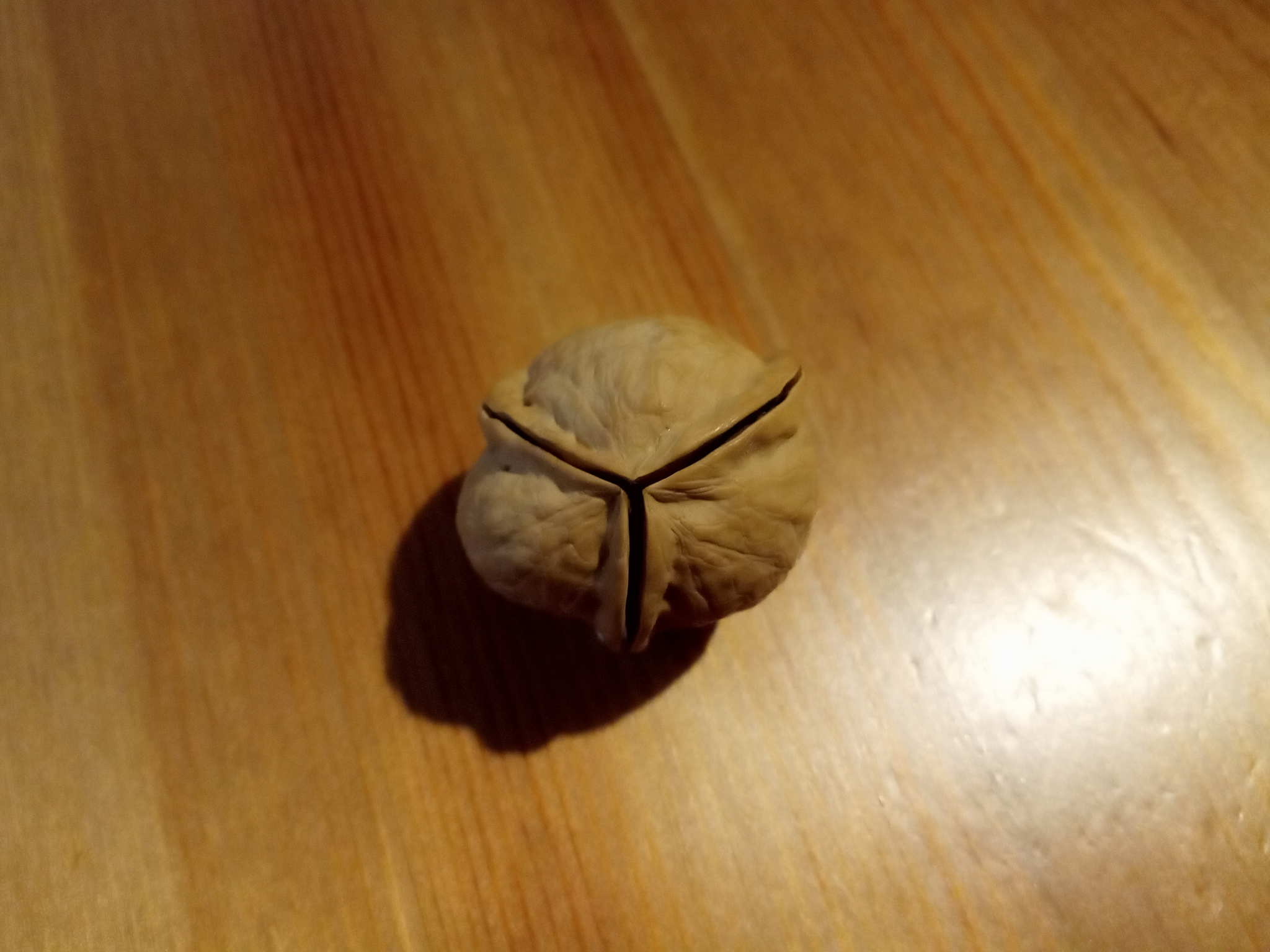 Lucky walnut three-shell - My, Mutation, Amazing, Non-standard, Luck