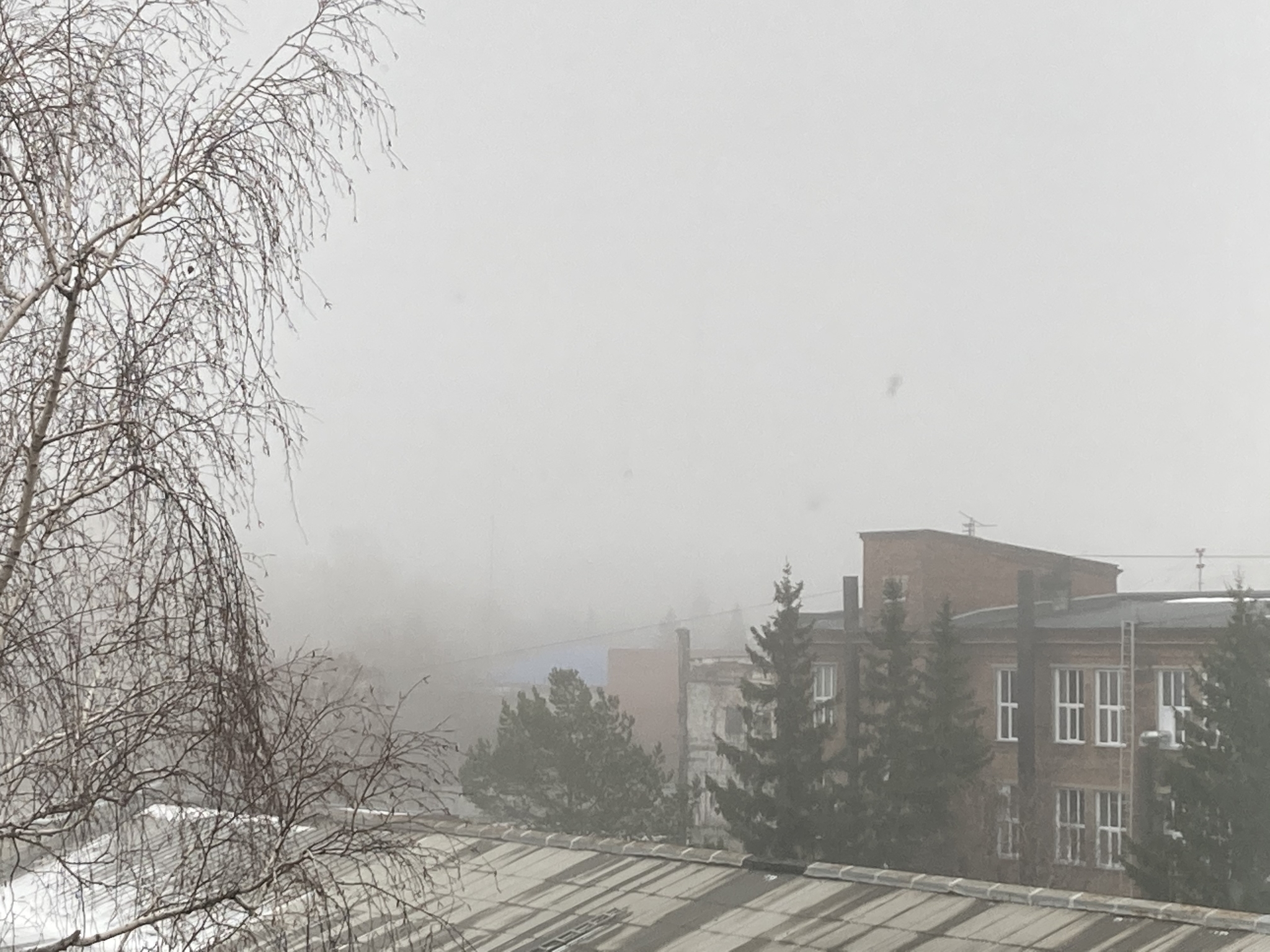 No title - My, Siberia, Snow, The photo, View from the window, Fog