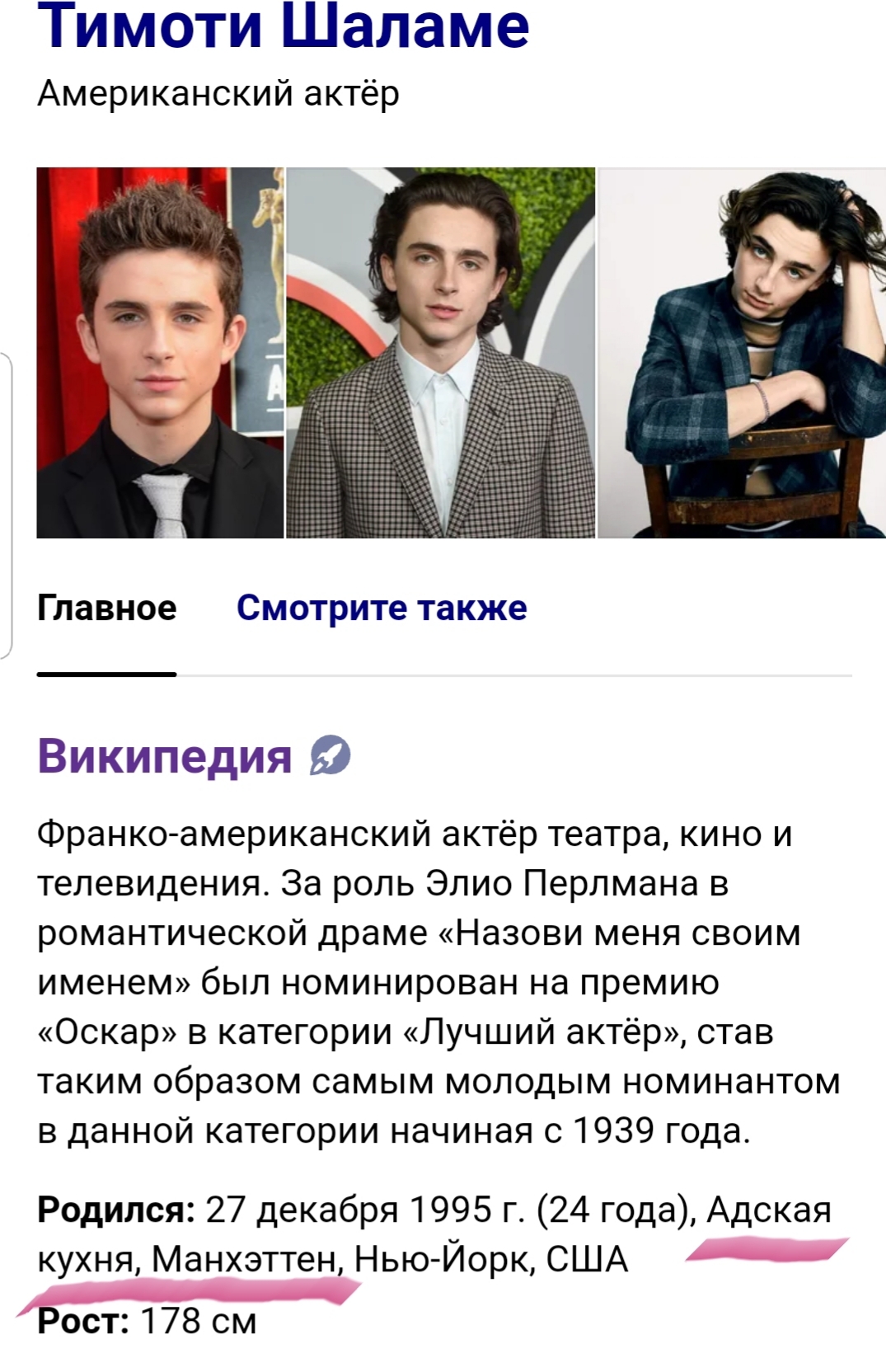 And I thought I had a bad maternity hospital in Saratov - My, Timothee Chalamet, Wikipedia, Actors and actresses, Typo, Bug, Screenshot