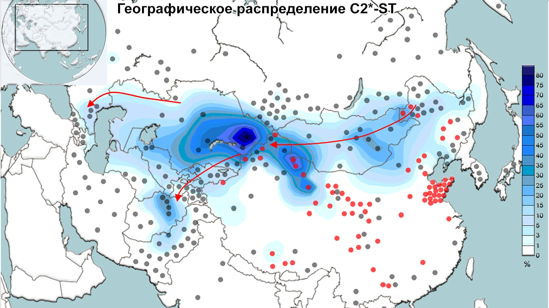 Происхождение казахов Старшего жуза с точки зрения генетики - Моё, История, Казахи, Наука, Казахстан, Генетика, Популяционная генетика, Видео, Длиннопост, Исследования