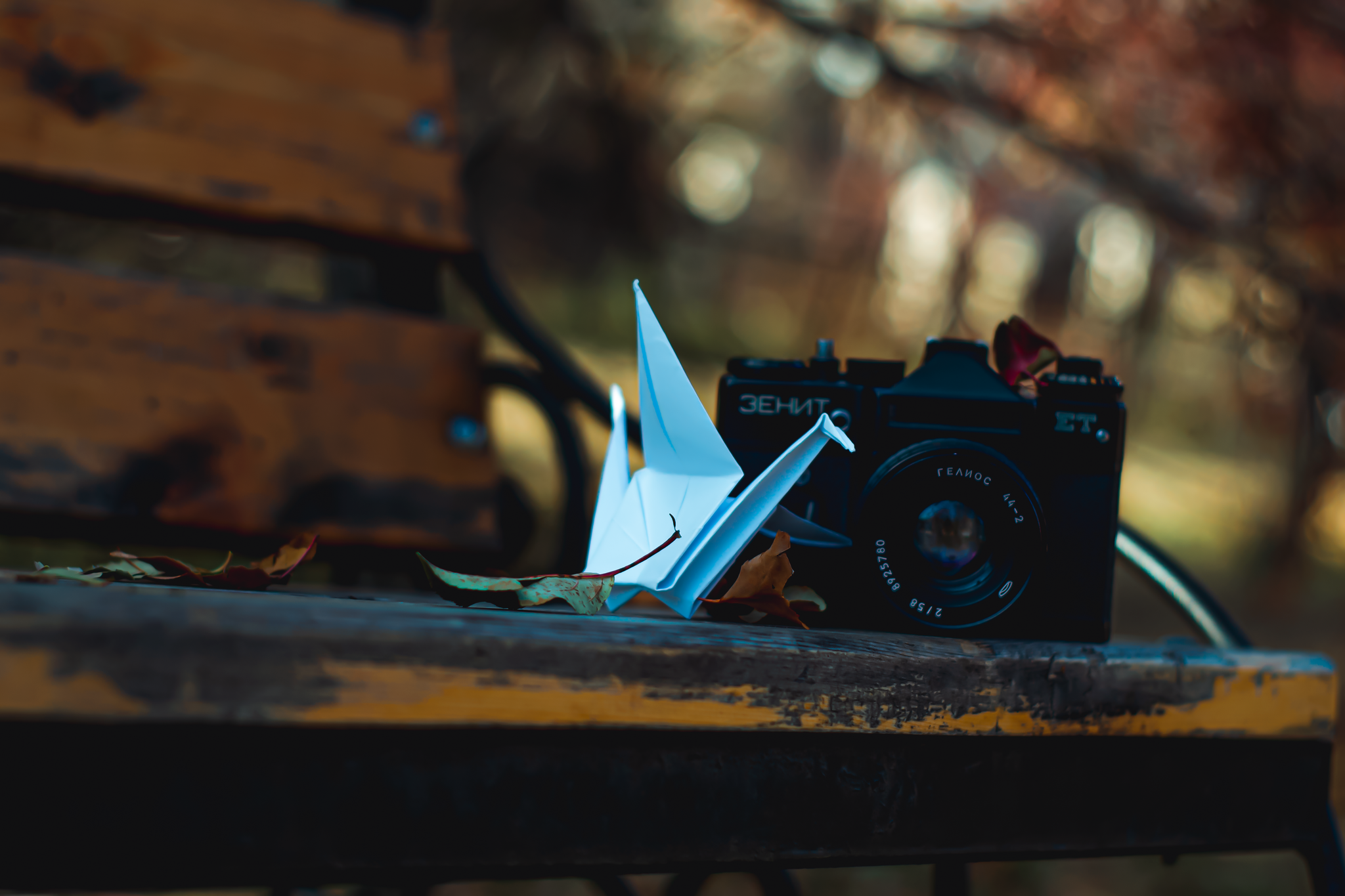 Autumn paper crane - My, The photo, Nikon d3100, Paper cranes