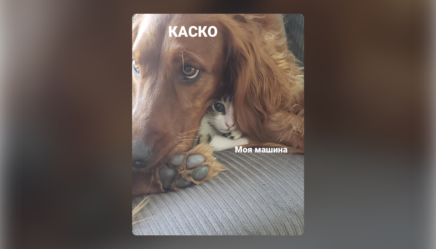 Экспресс каско это