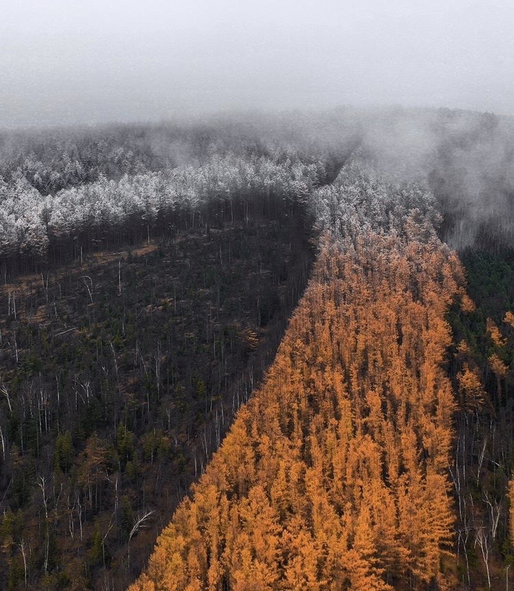 The winter is coming... - Winter, The winter is coming, Sakhalin, The photo, Forest, Nature