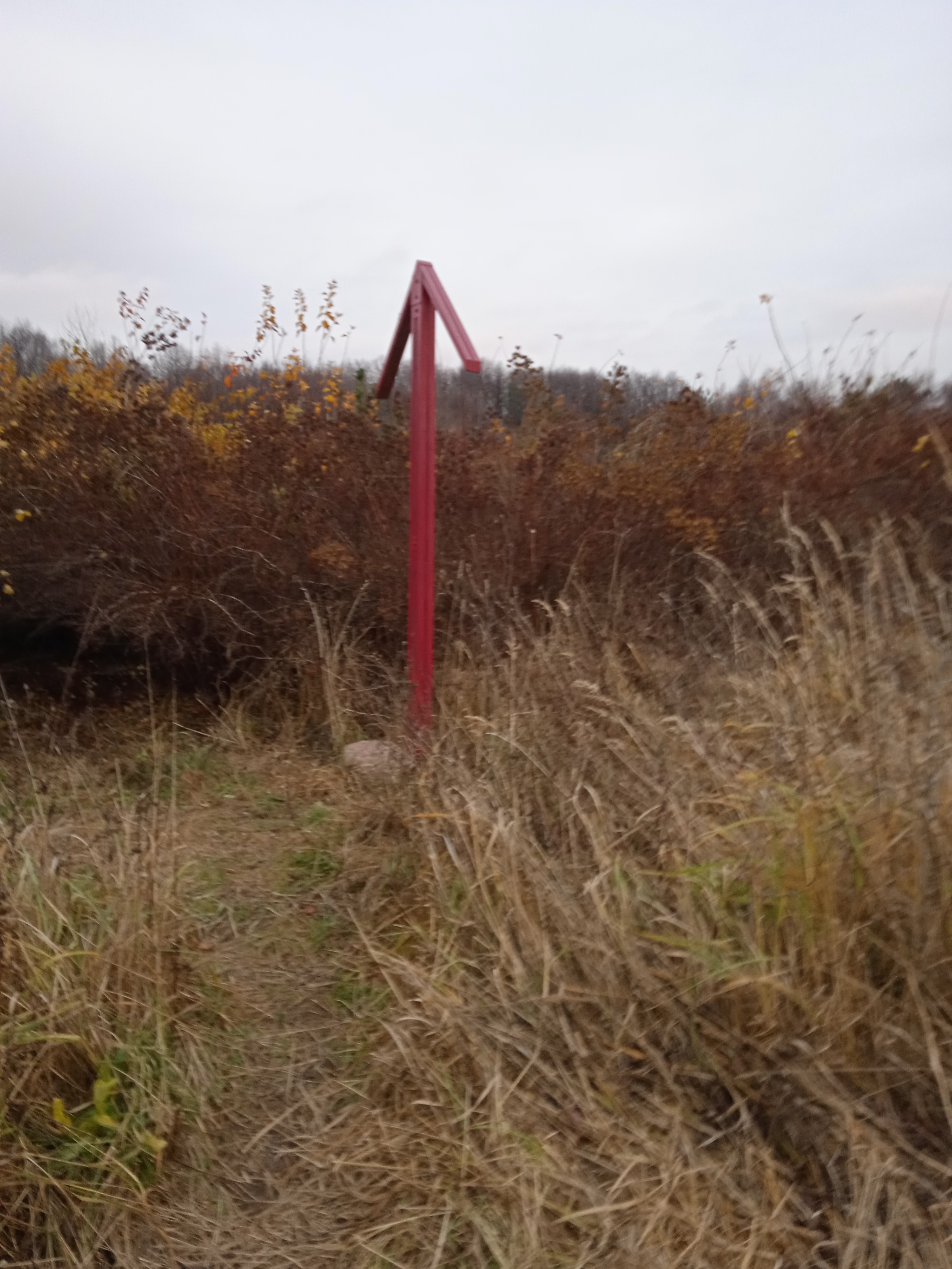 So I’m walking around the Temple in Bitsevsk... - My, Paganism, Temple, Idol, Bitsevsky Park, Longpost