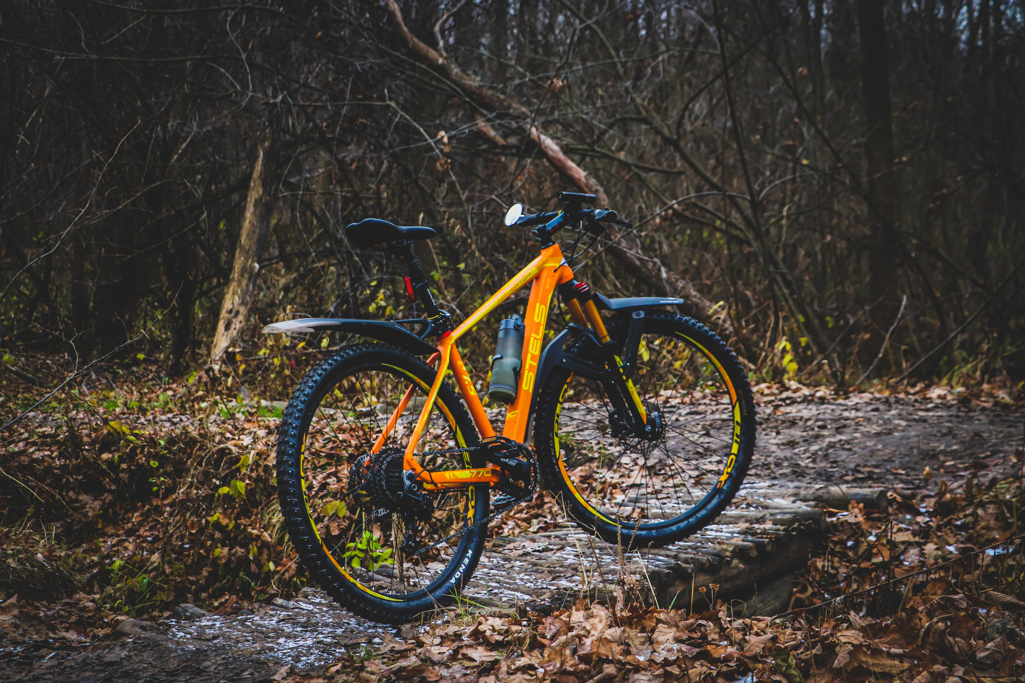 November - My, The photo, Autumn, Landscape, Mushrooms, A bike, Longpost