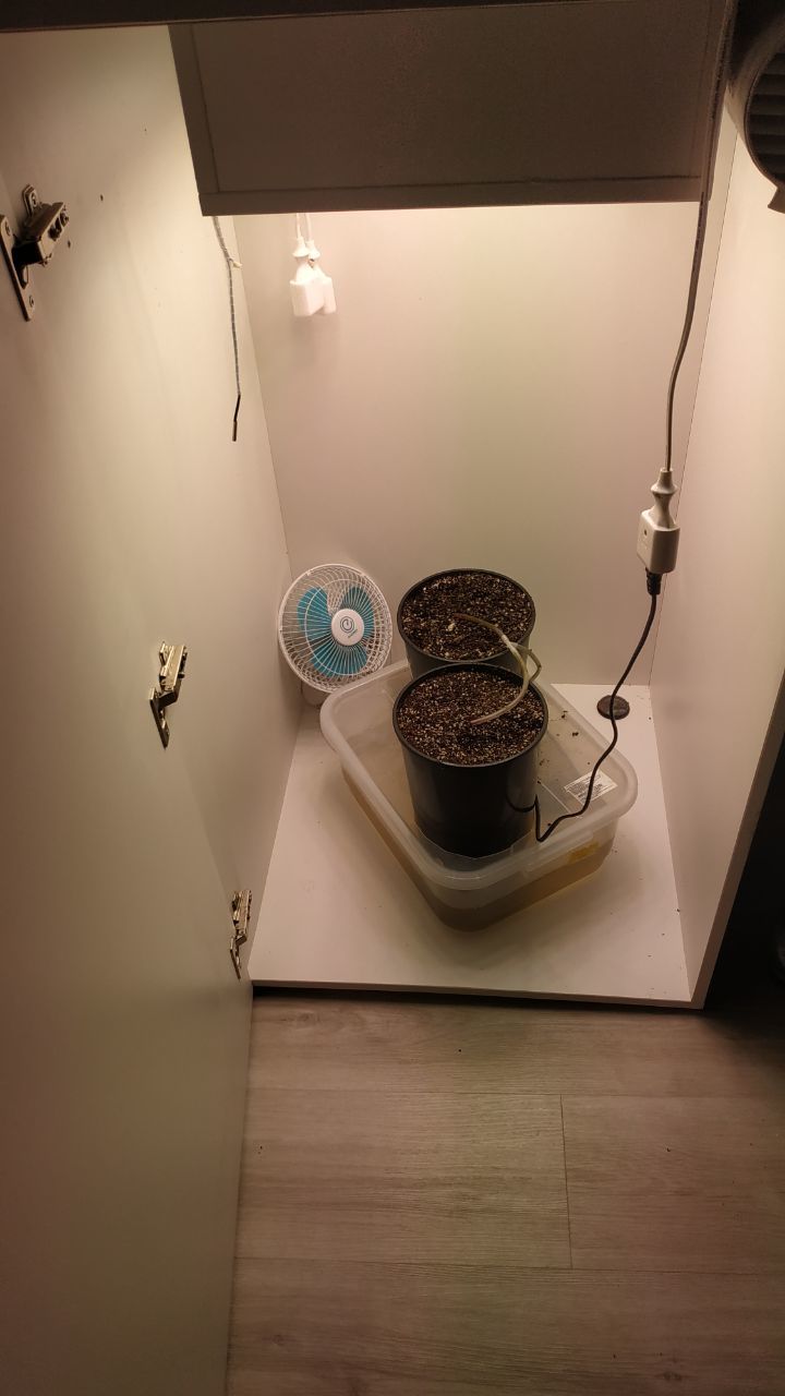 Опять эта гидропоника. Новый Гроубокс | Пикабу