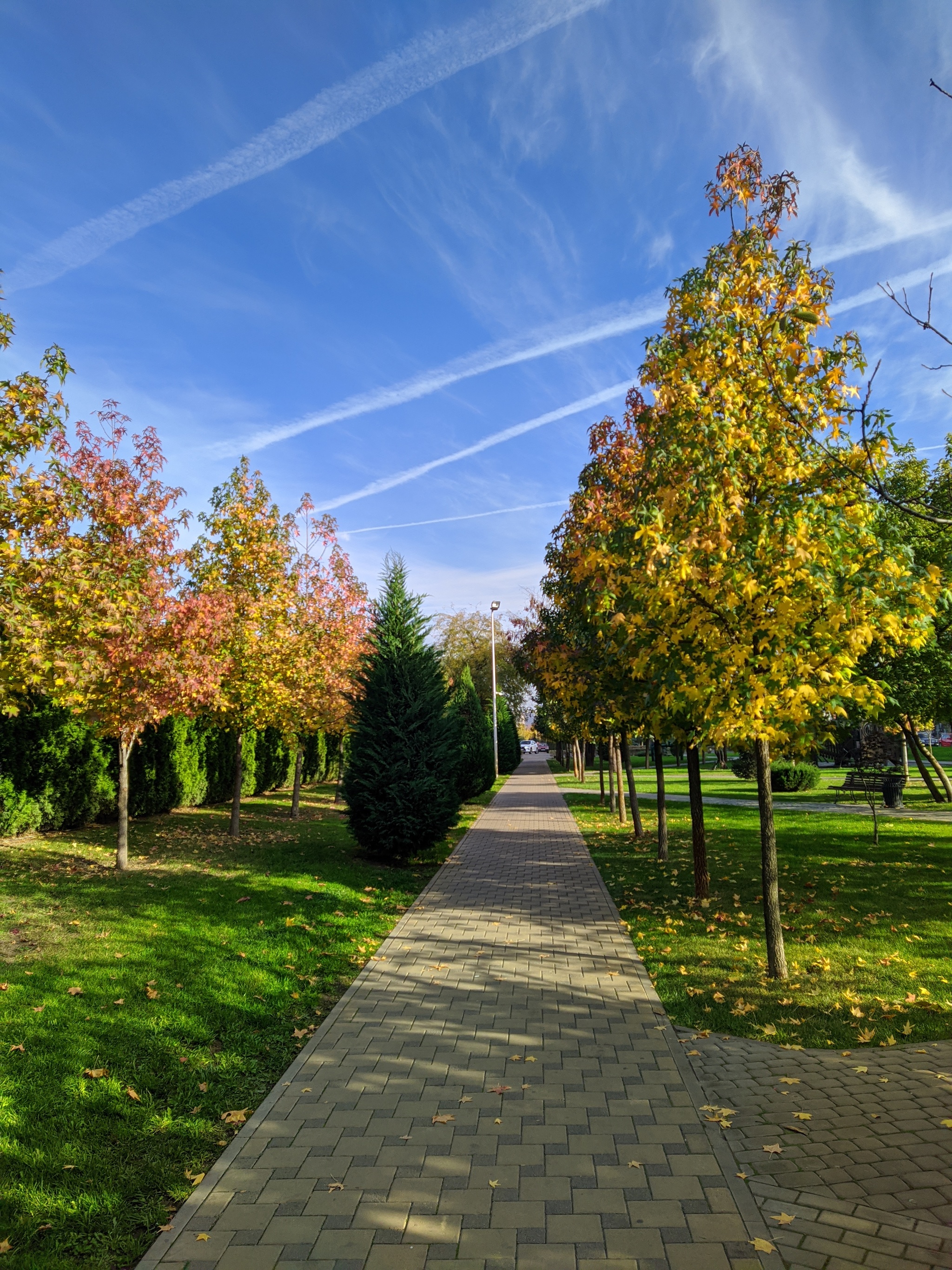 Autumn in Krasnodar - My, Autumn, Krasnodar, Краснодарский Край, Longpost