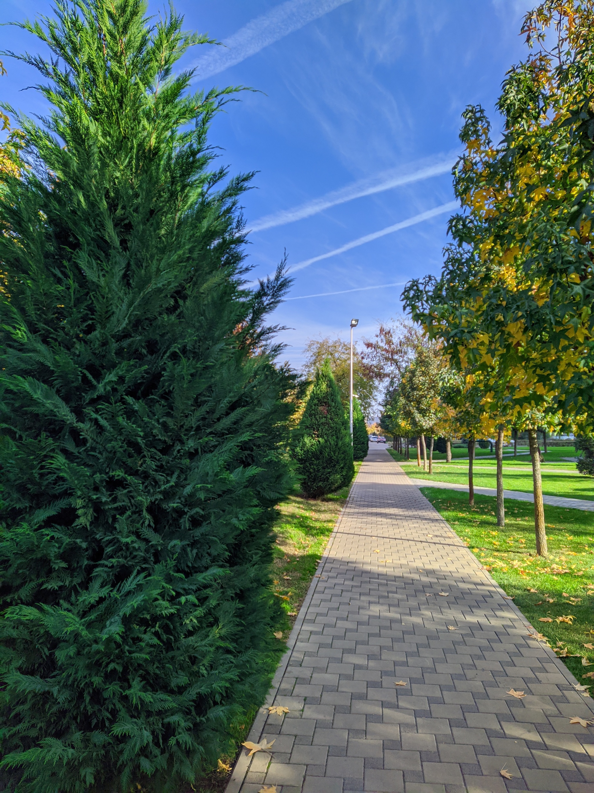 Autumn in Krasnodar - My, Autumn, Krasnodar, Краснодарский Край, Longpost