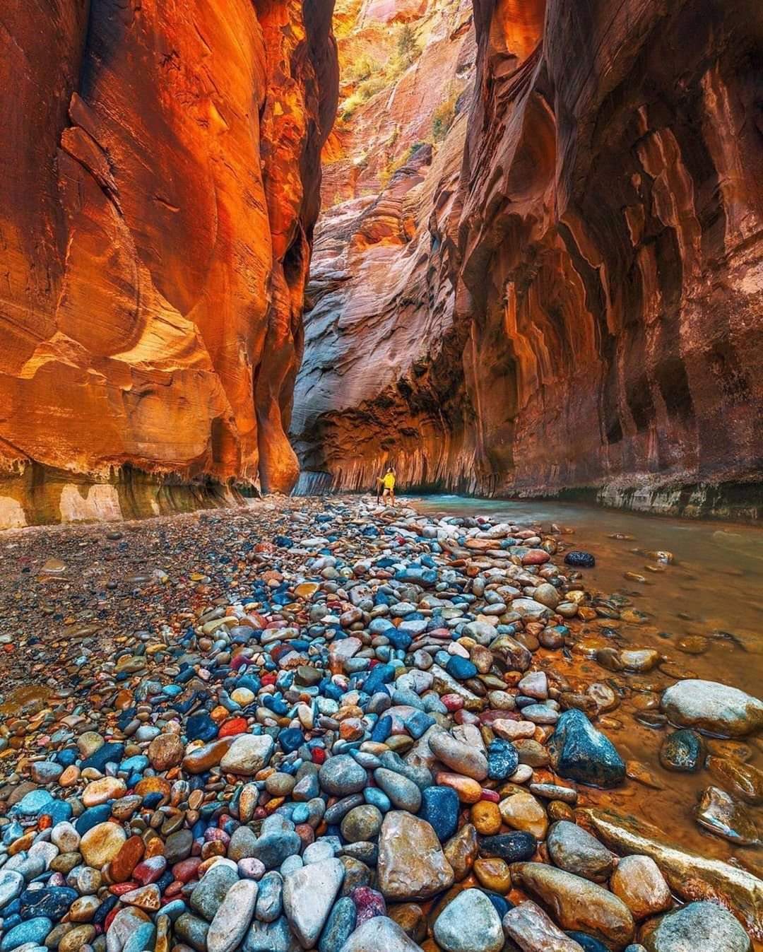 Zion - The photo, USA, America, Zion, River, Canyon, Travels, Utah