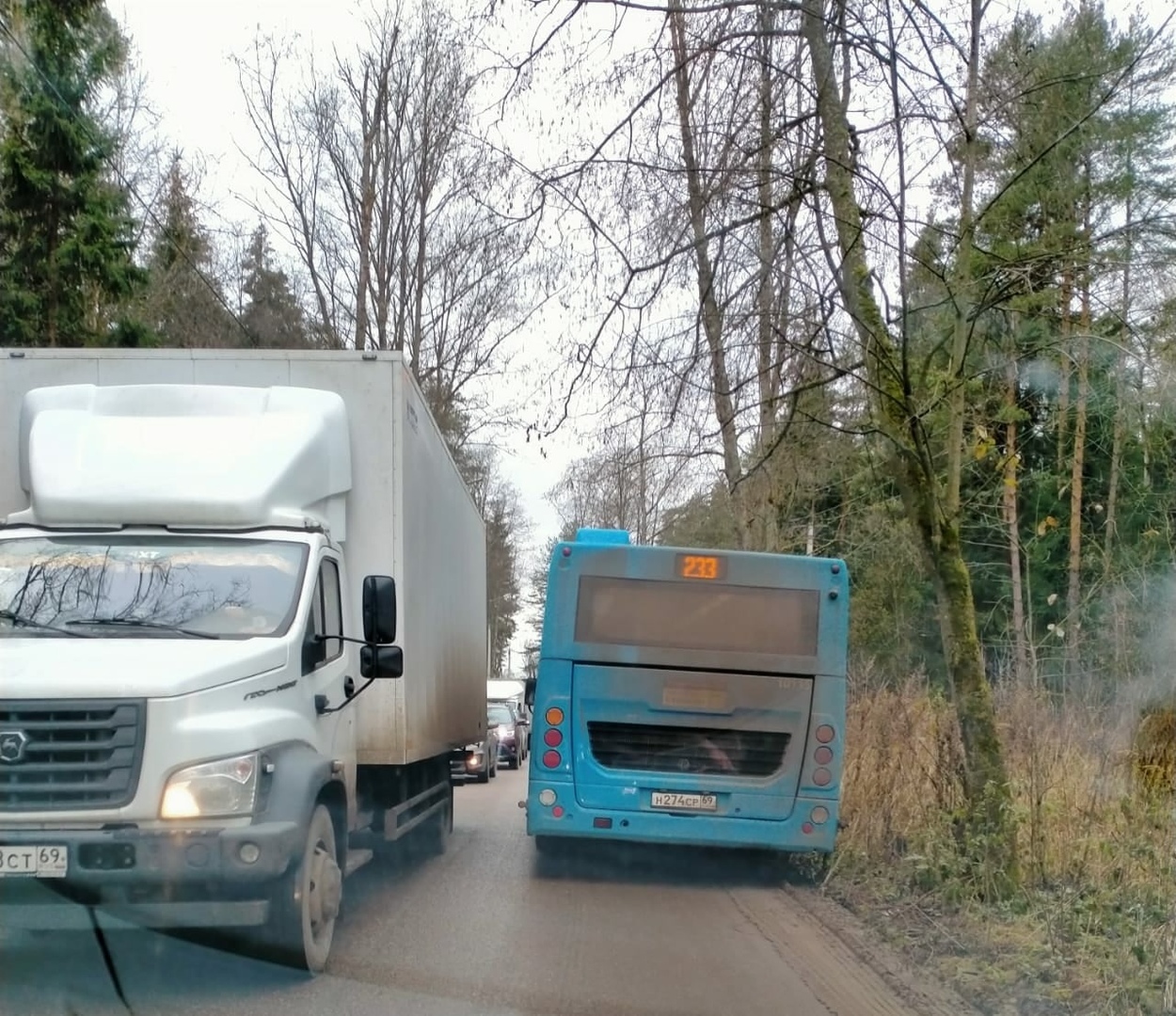 Под Тверью появились партизаны - Тверь, Тверская область, Партизаны, Длиннопост