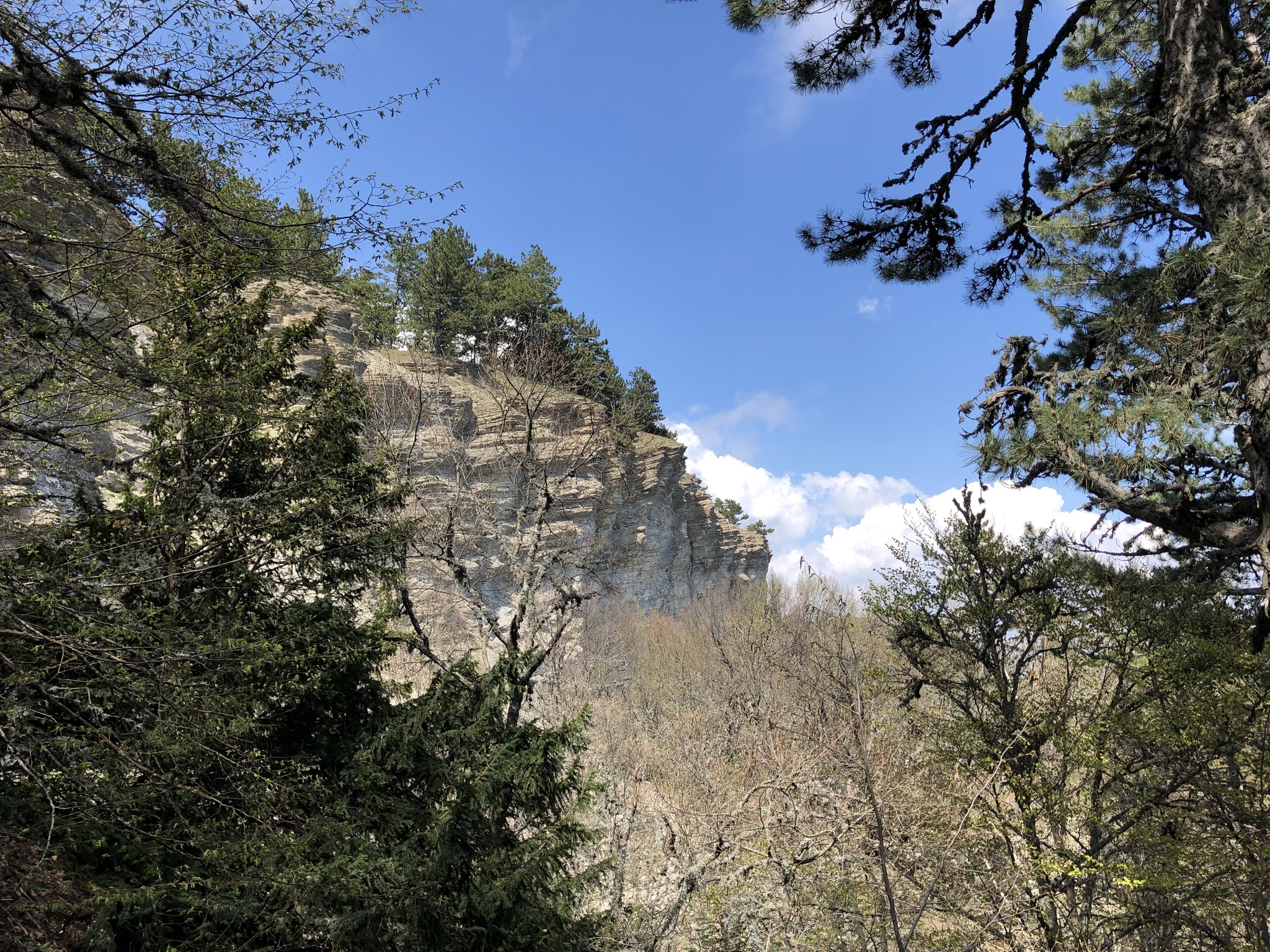 Crimea 2019. Day 10. Taraktash and a steep path - My, Crimea, Taraktash, Ai-Petri, Hike, The mountains, Sea, Mat, Longpost