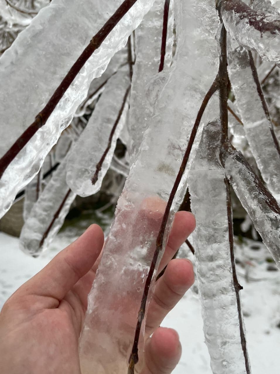 For the age of the Sword and the Ax will come, the age of the Wolf Blizzard. The Hour of White Cold and White Light will come! - Snow, Ice, Ice, Vladivostok, Bad weather, Apocalypse, Longpost