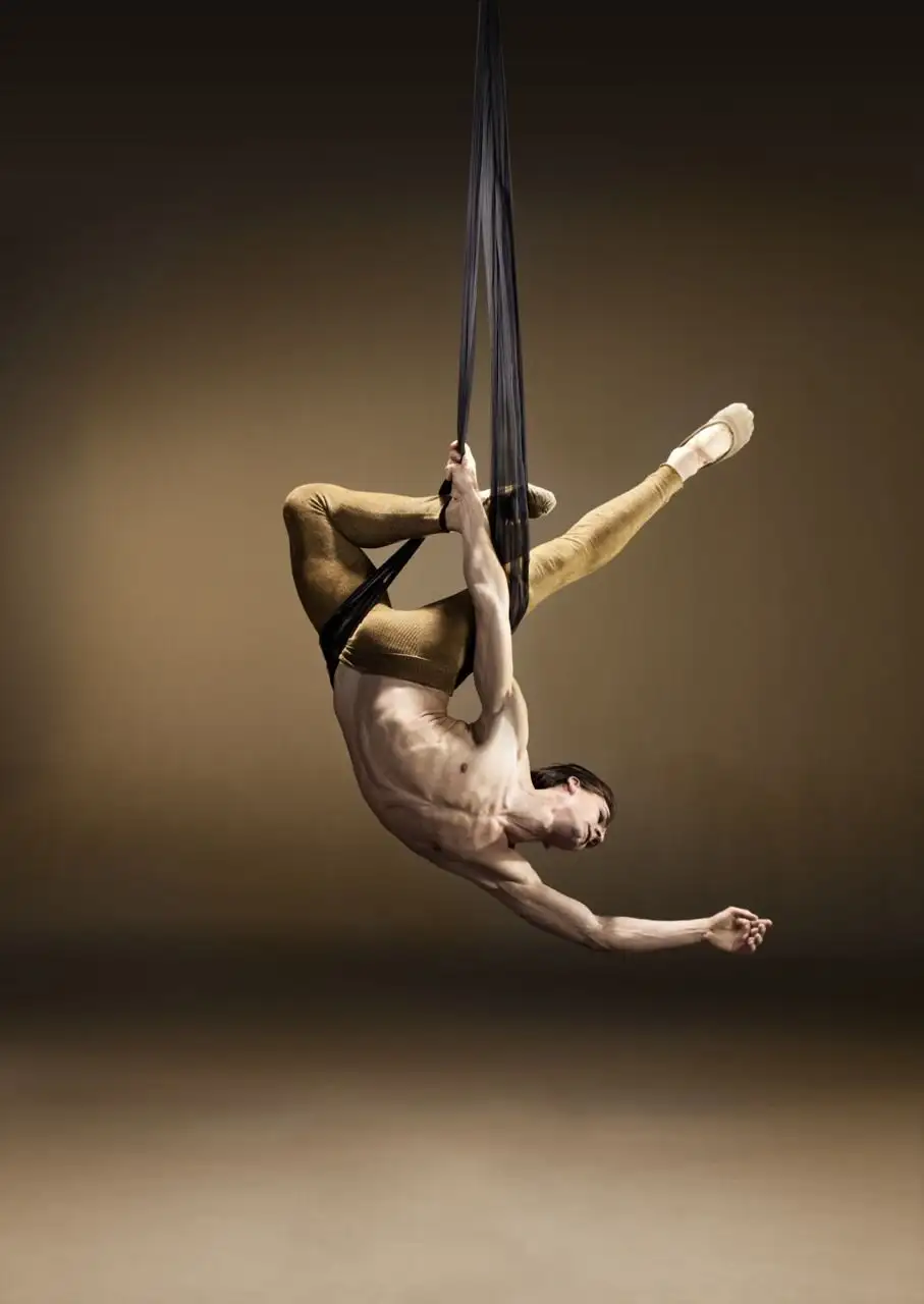 Aerial acrobatics on canvases - NSFW, Playgirl, From the network, beauty, Guys, Men, Torso, Muscle, Pumped up, Acrobatics, Longpost