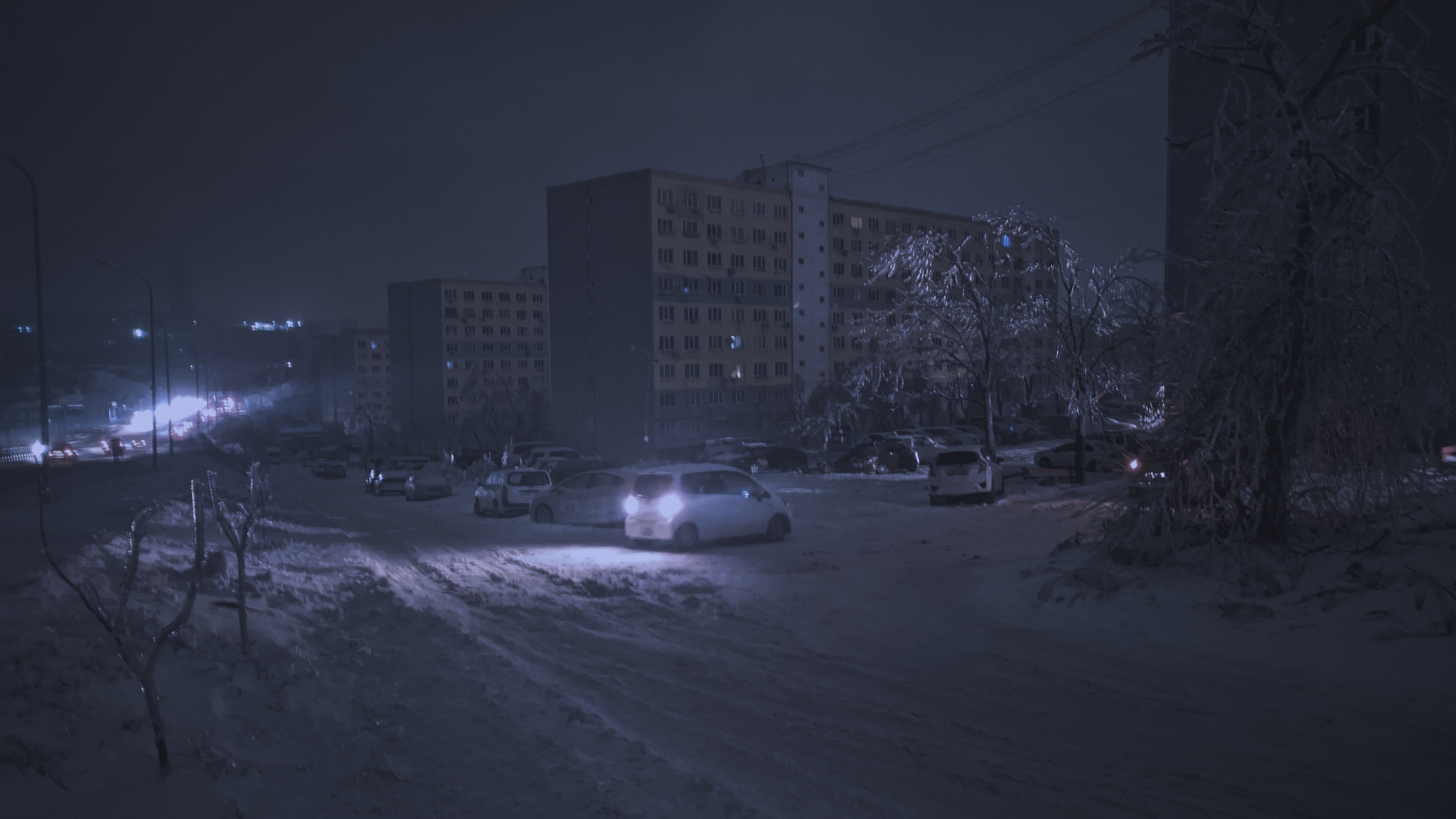 Vladivostok. 2020 continues - My, Vladivostok, Text, Negative, Crash, Cold