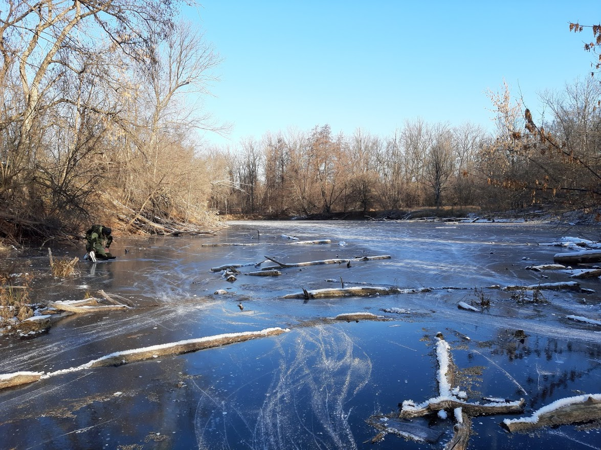 Along the channels on skates - My, Samara, Skates, Longpost