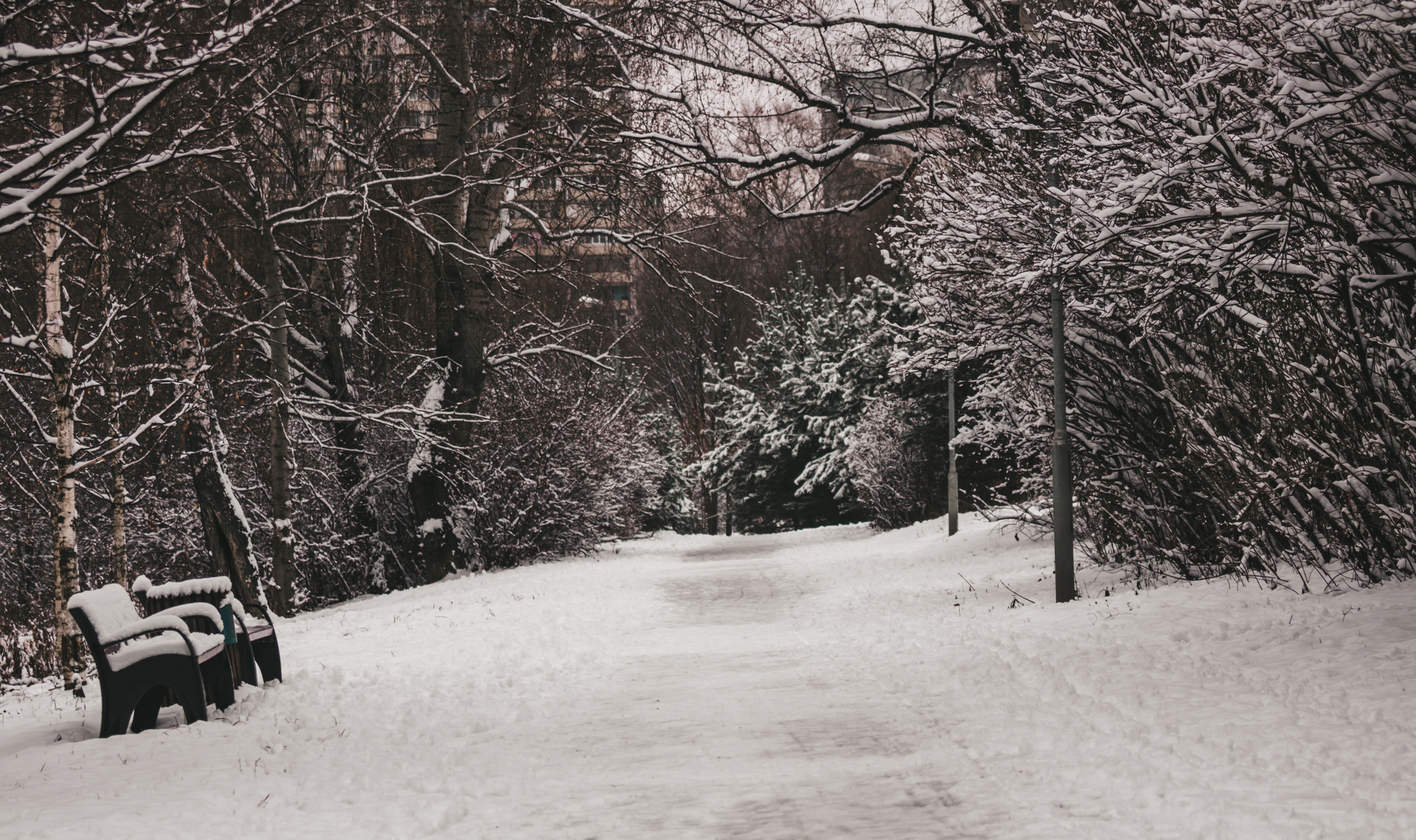 Winter. Start. Moscow Southern Administrative District - My, Moscow, The photo, Winter, Yuao