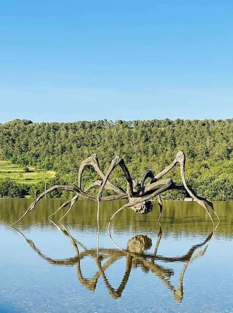 Spider pareidolia - The photo, Spider, Photoshop, Sculpture